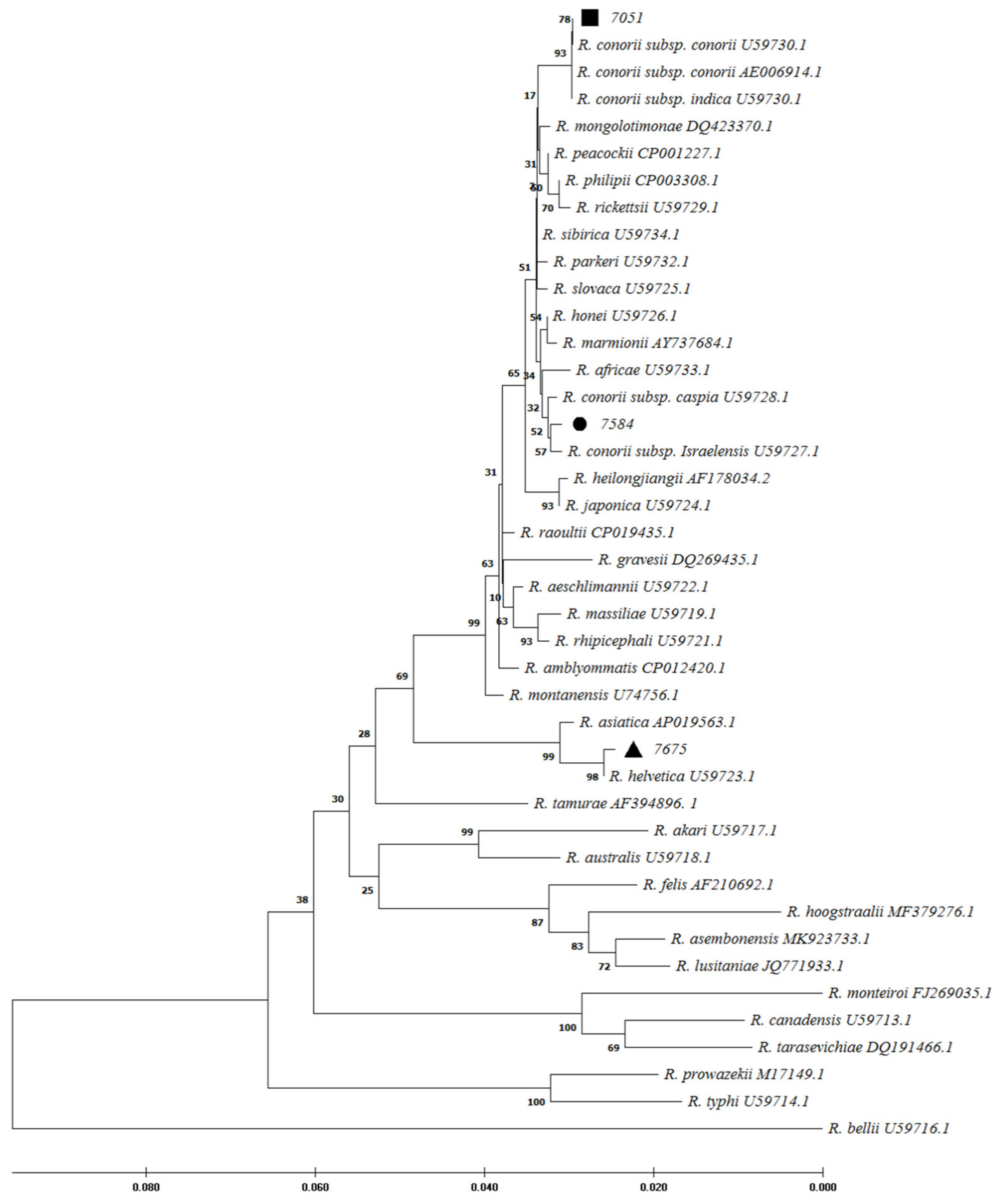 Pathogens 11 00973 g002