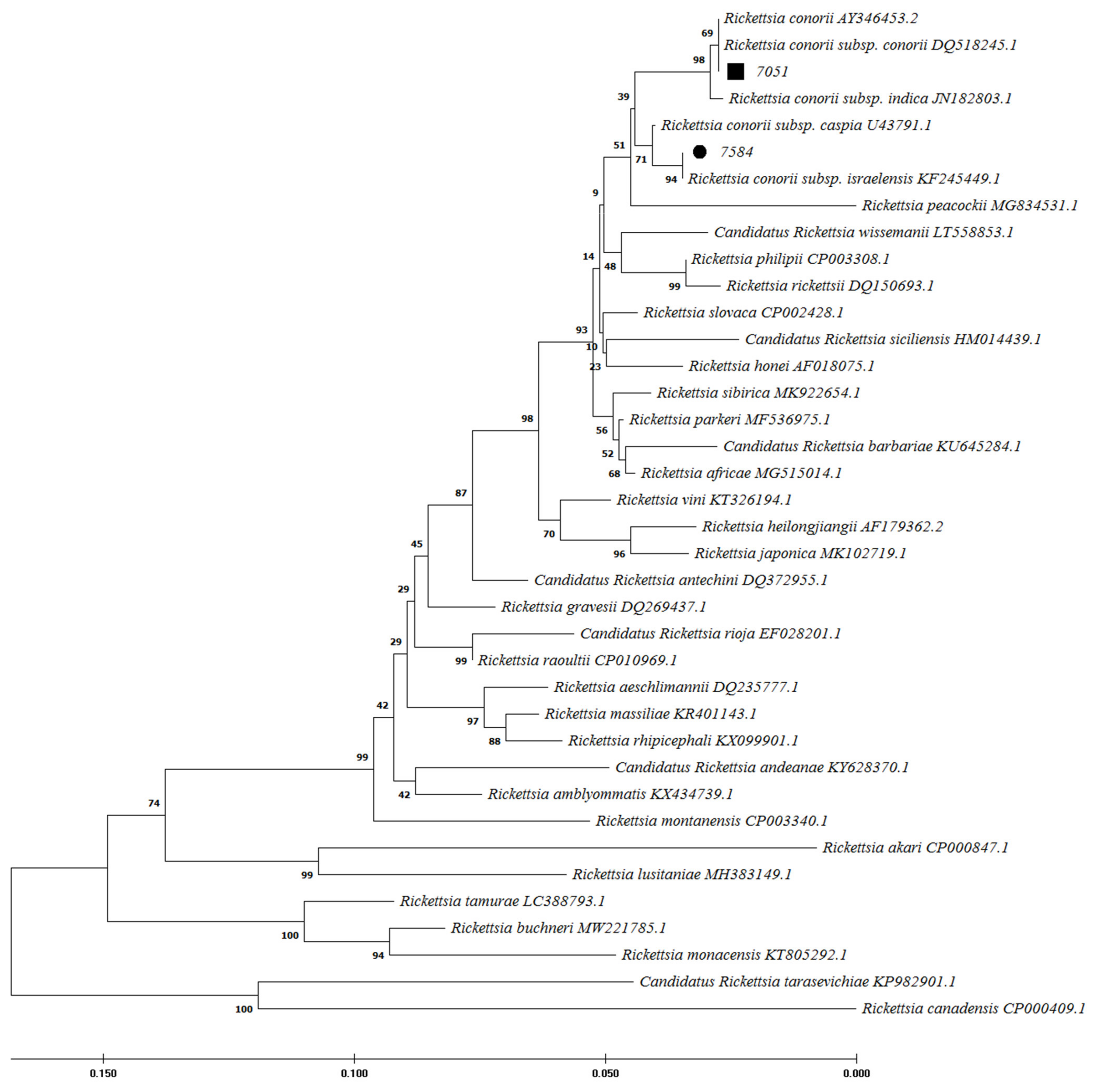 Pathogens 11 00973 g003