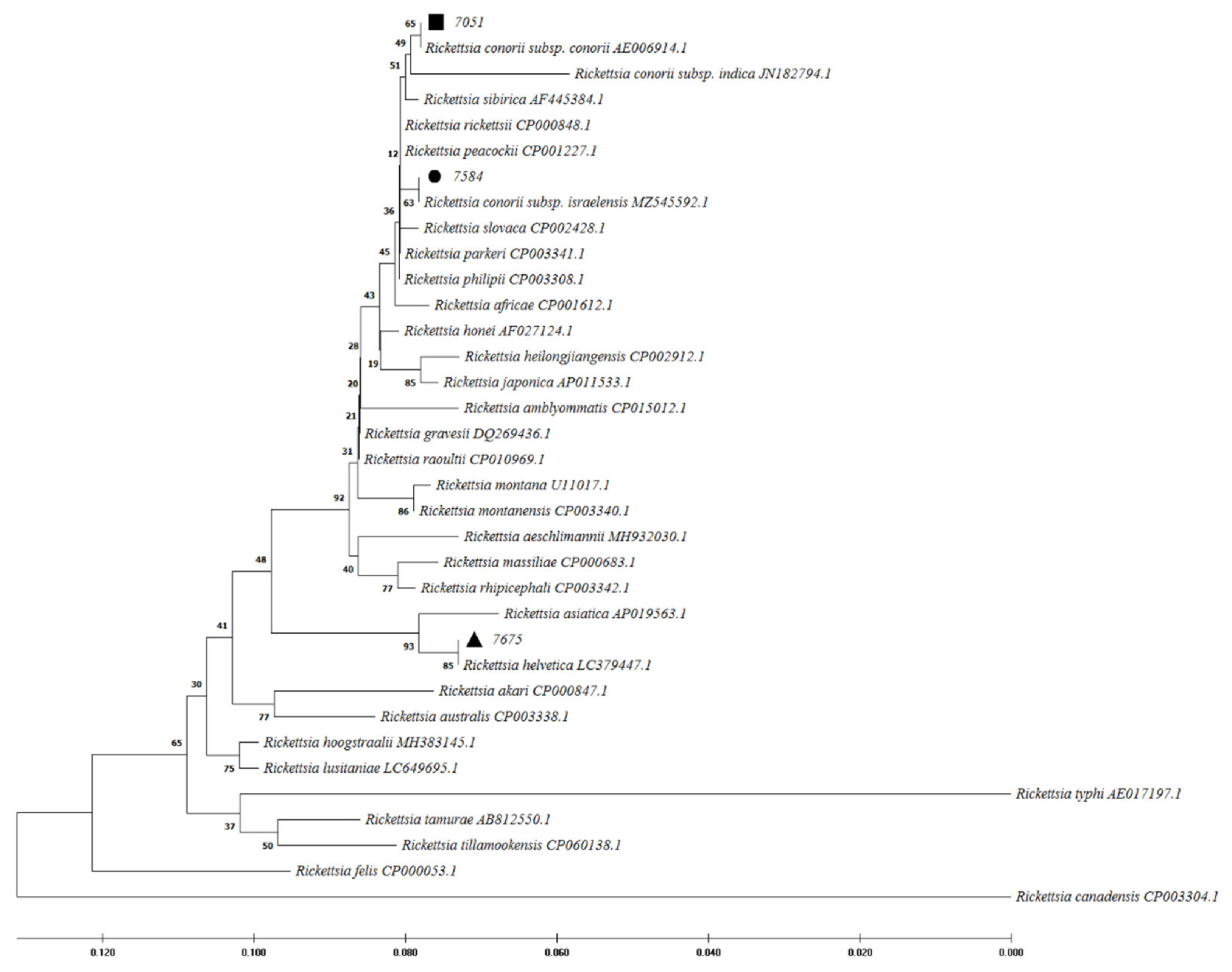Pathogens 11 00973 g004