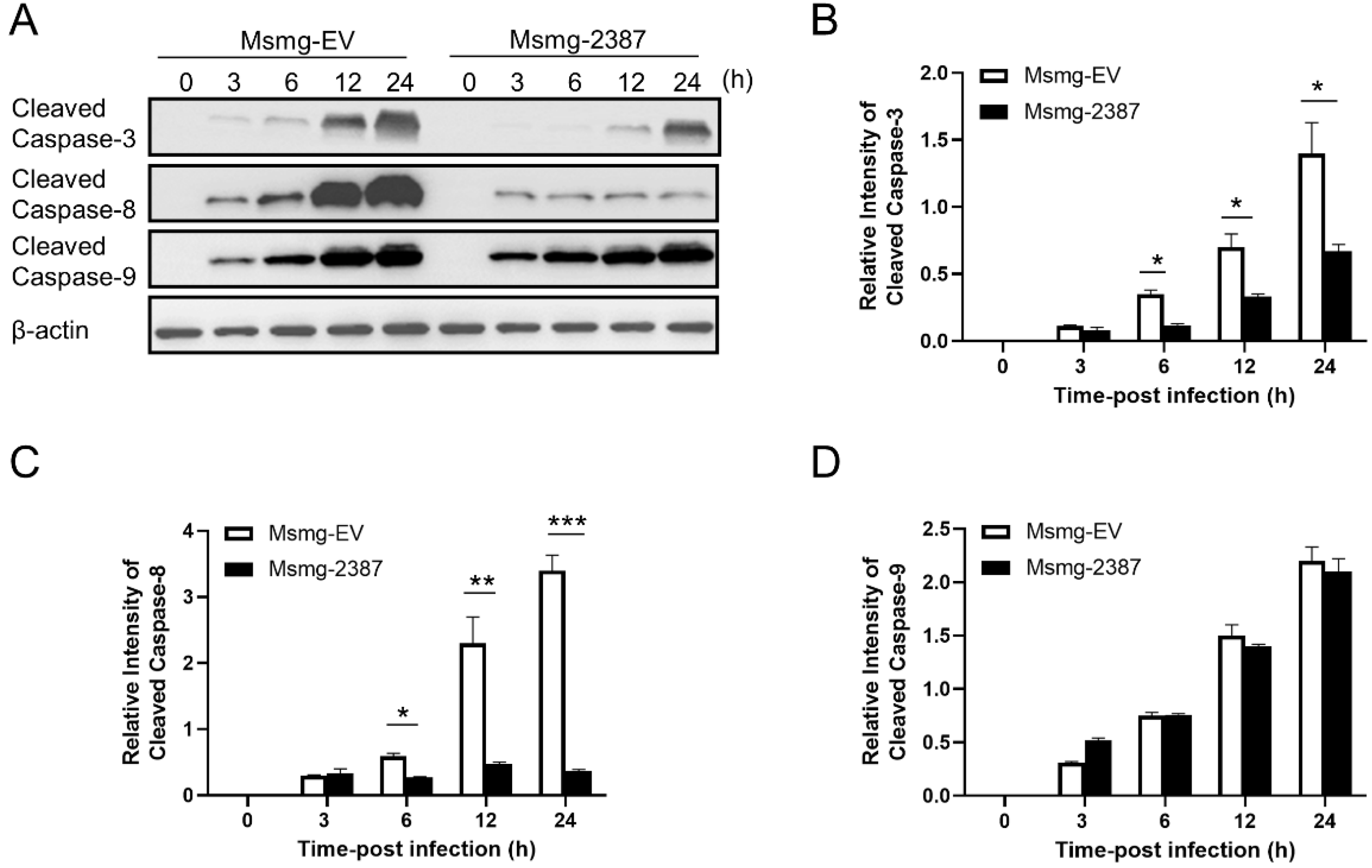 Pathogens 11 00981 g004 550