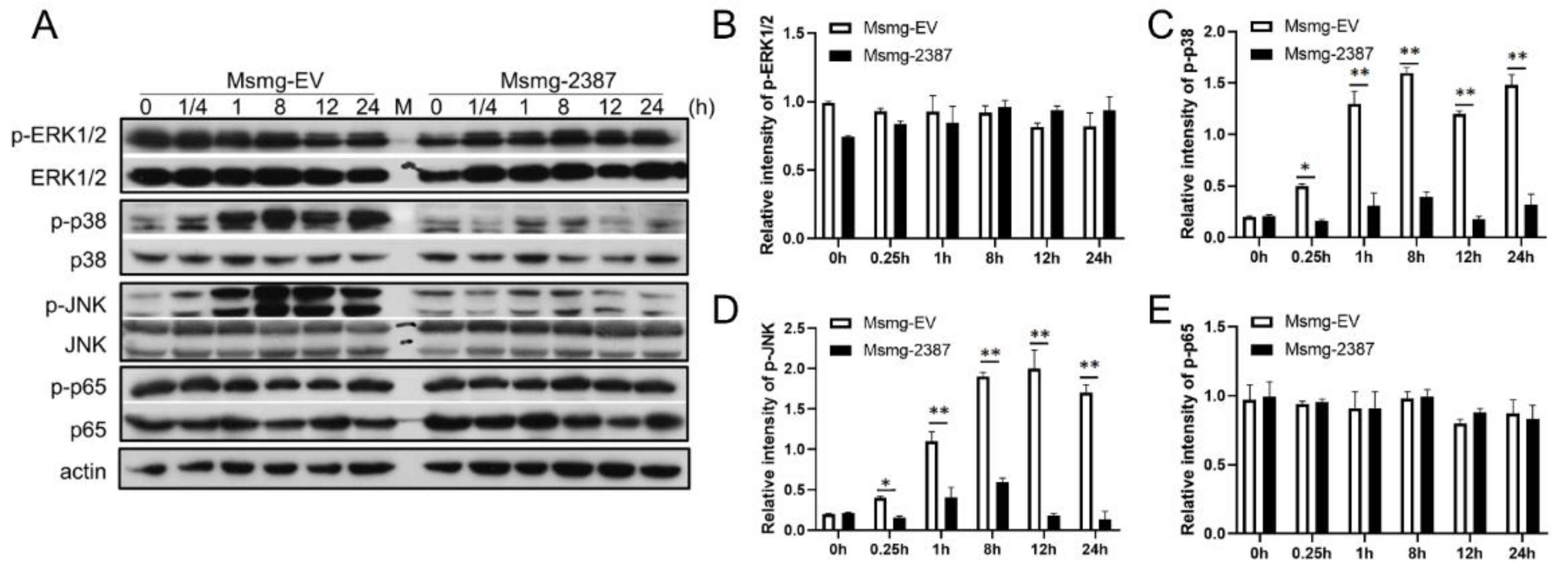 Pathogens 11 00981 g005 550