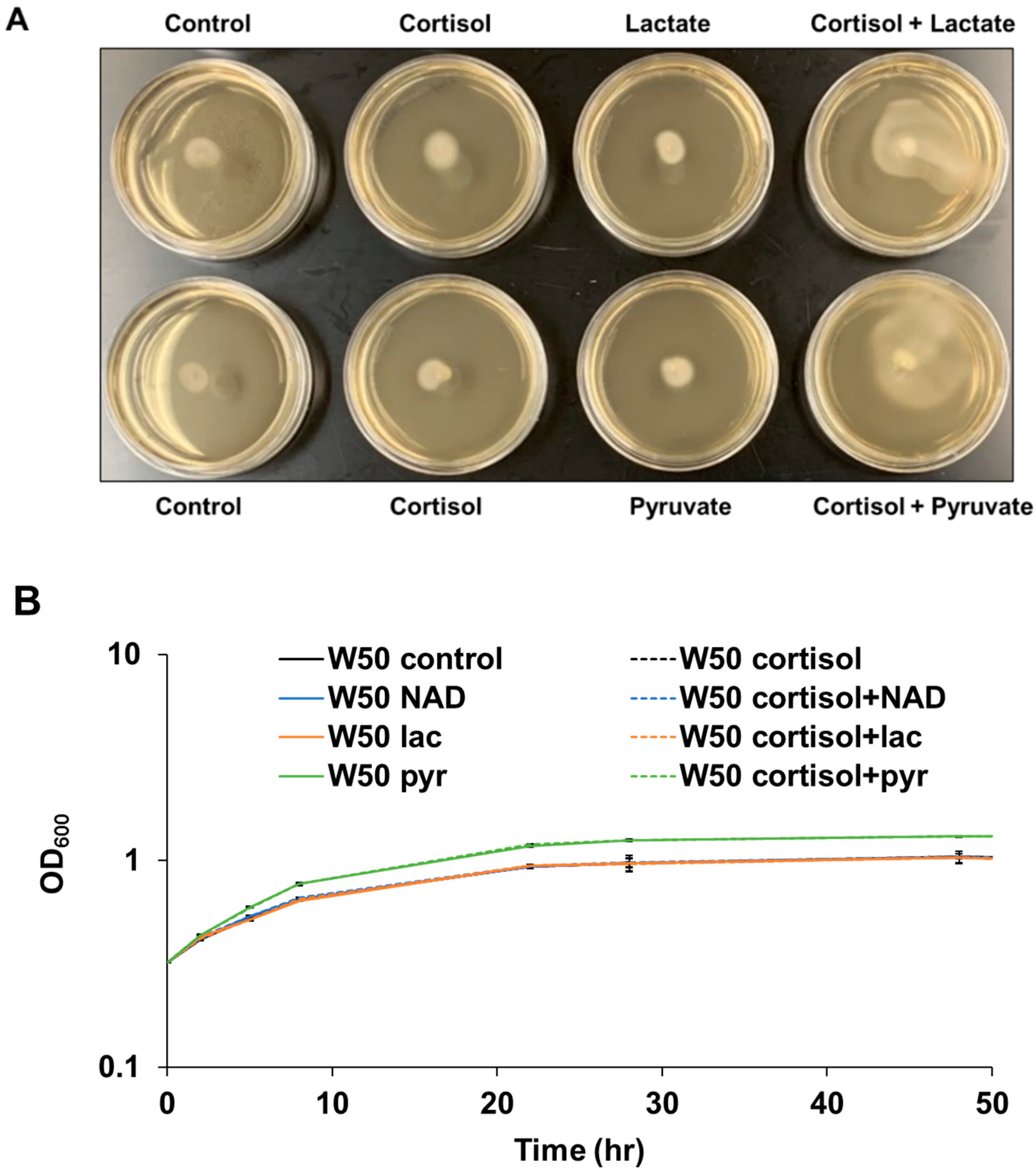 Pathogens 11 00982 g002 550