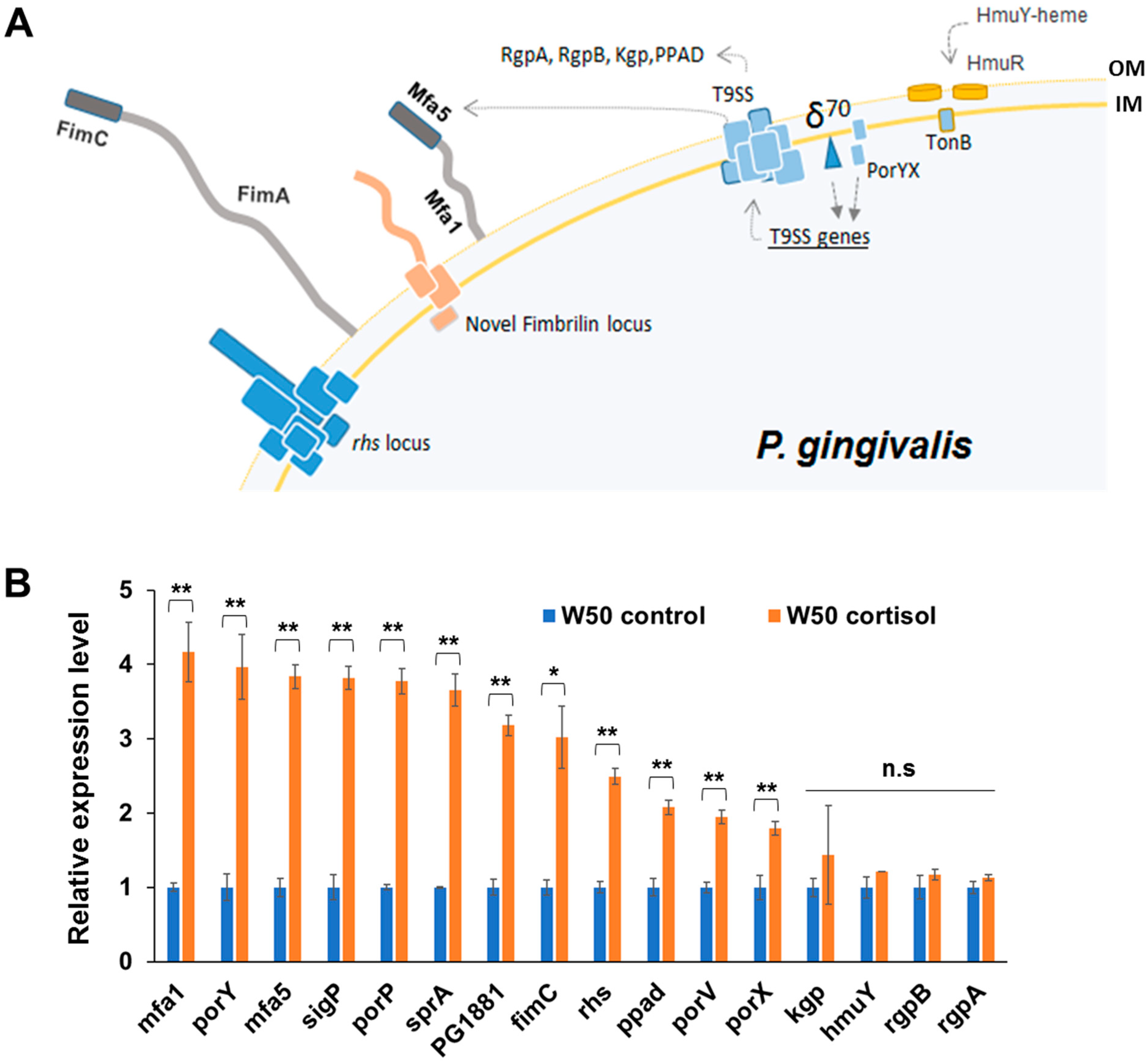 Pathogens 11 00982 g003 550