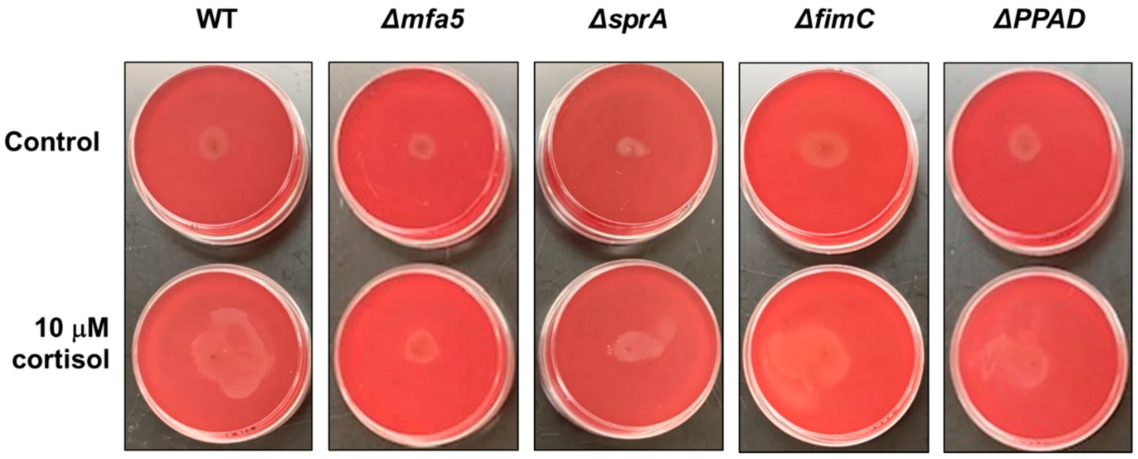 Pathogens 11 00982 g004 550