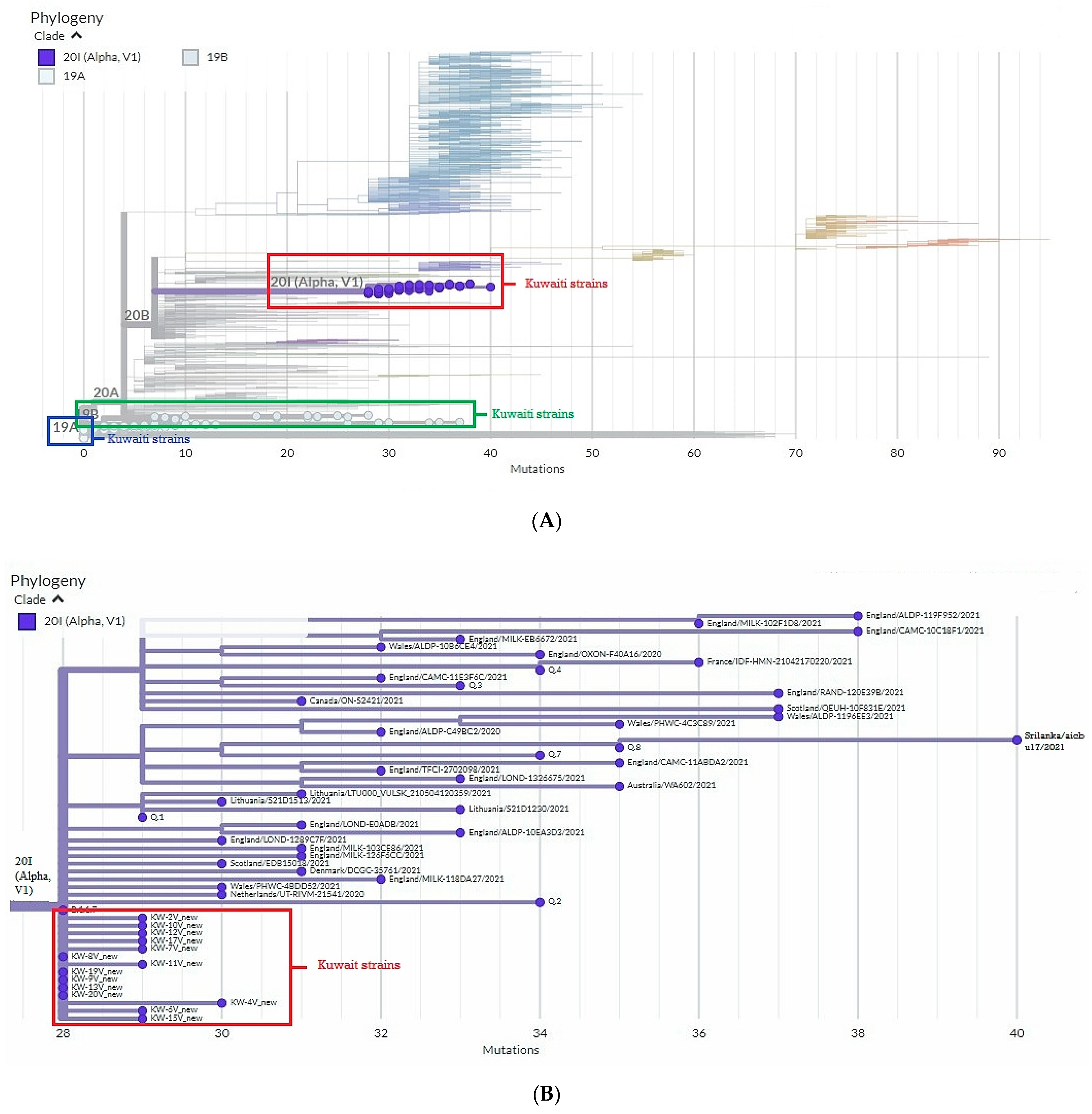 Pathogens Free Full-Text Strain Variation Based on Spike Glycoprotein Gene of SARS-CoV-2 in Kuwait from 2020 to 2021 photo