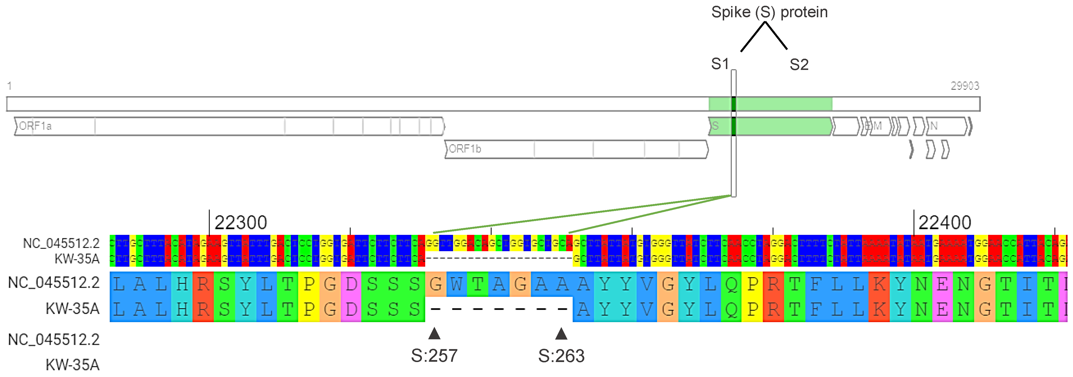 Pathogens 11 00985 g003
