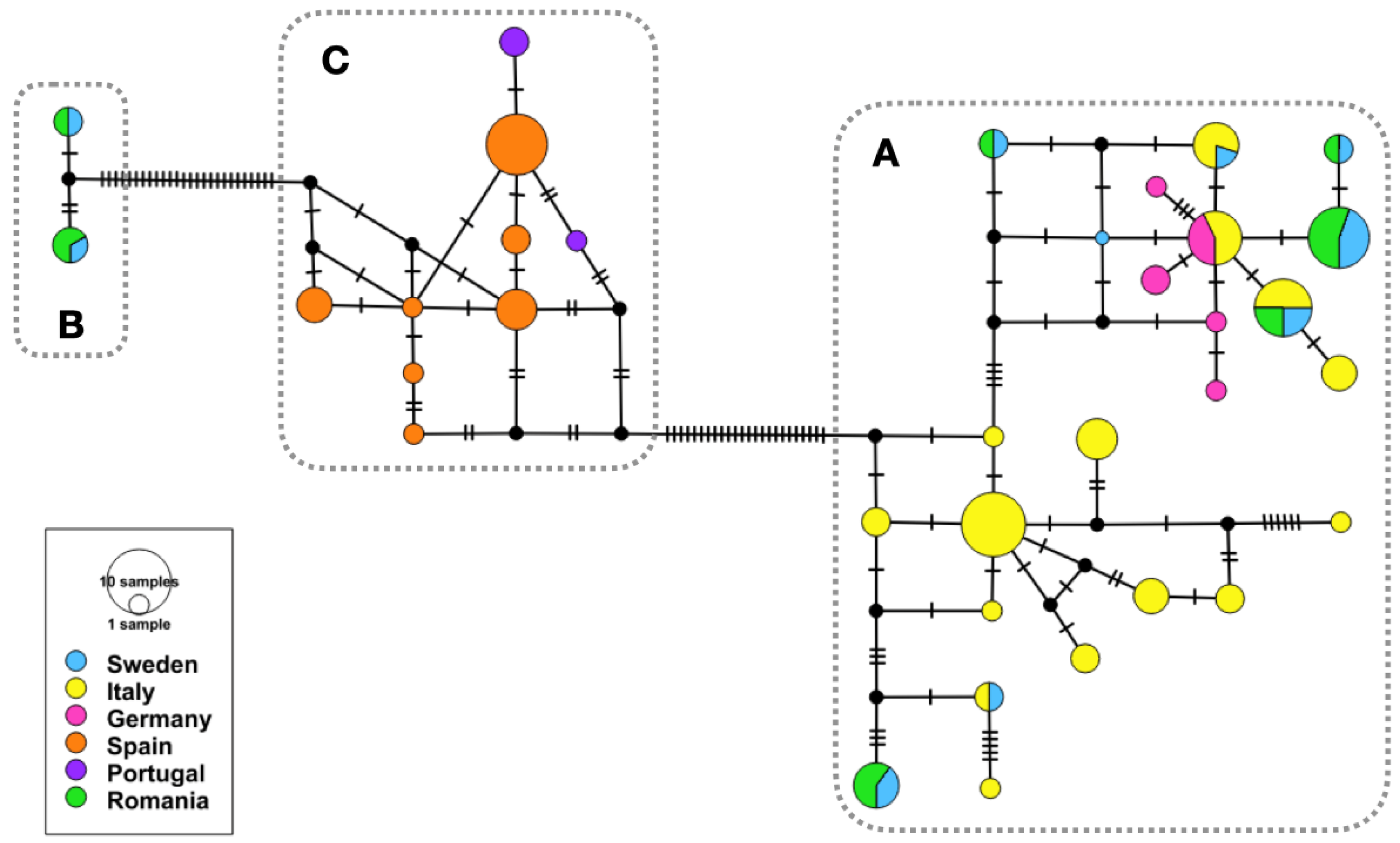 Pathogens 11 00990 g003 Pathogens 11 00990 g003