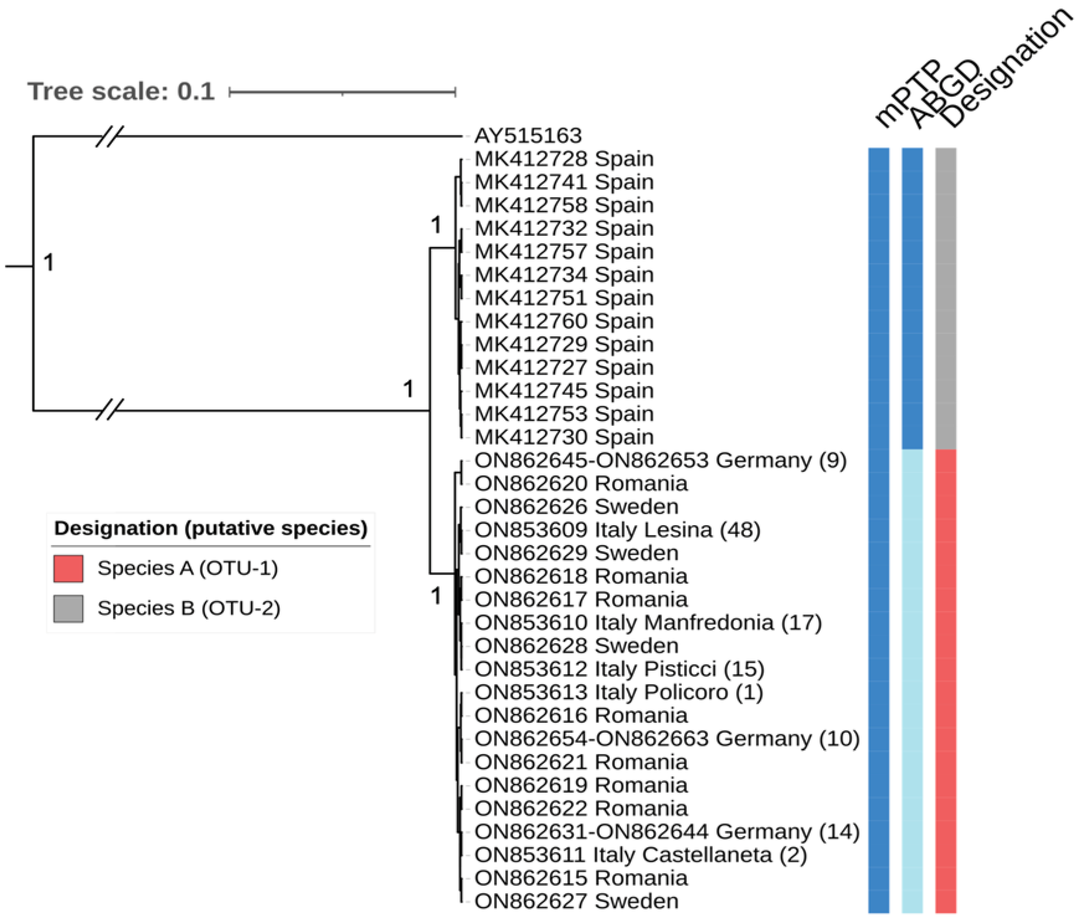 Pathogens 11 00990 g004 Pathogens 11 00990 g004