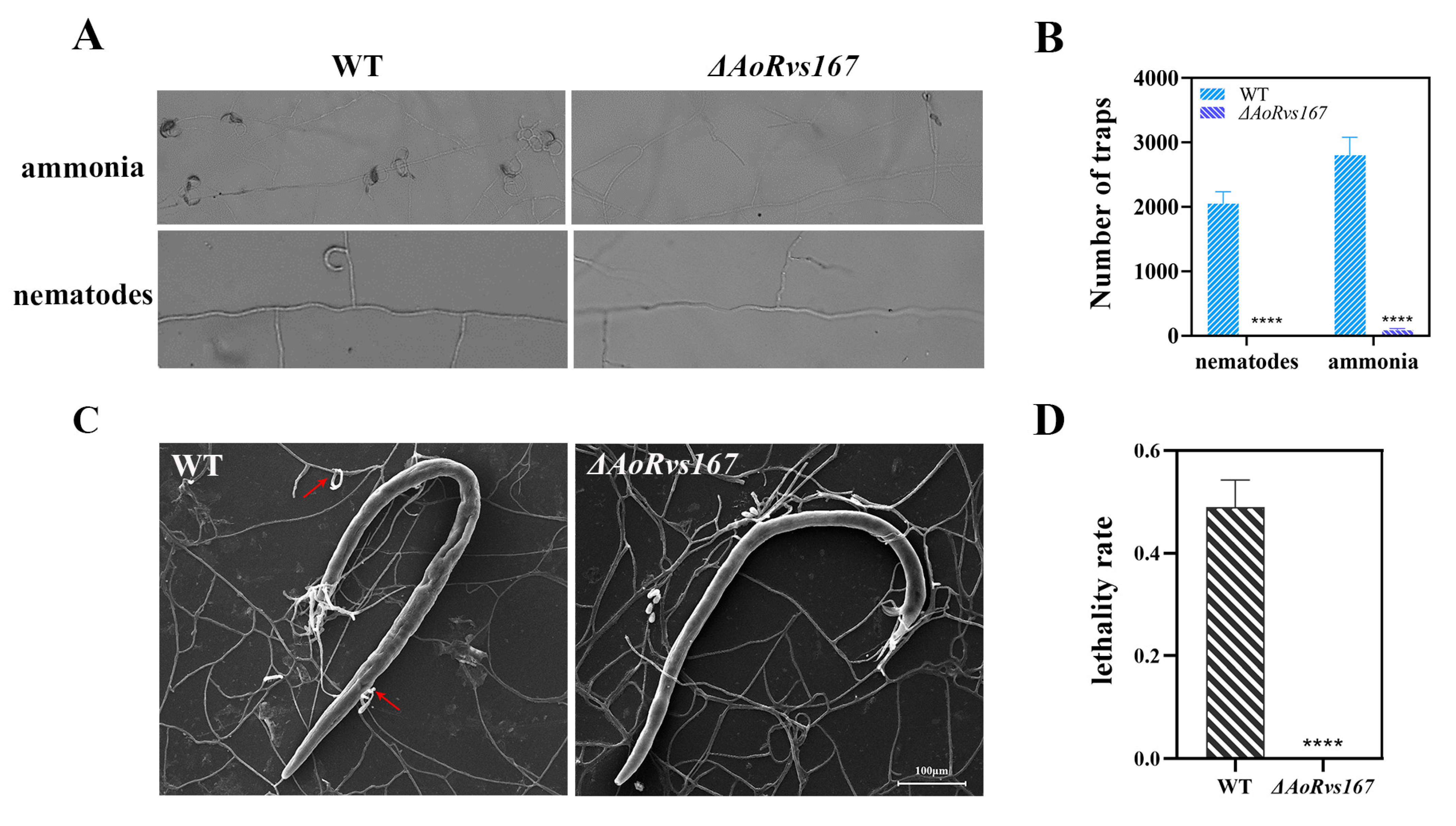 Pathogens 11 00997 g004