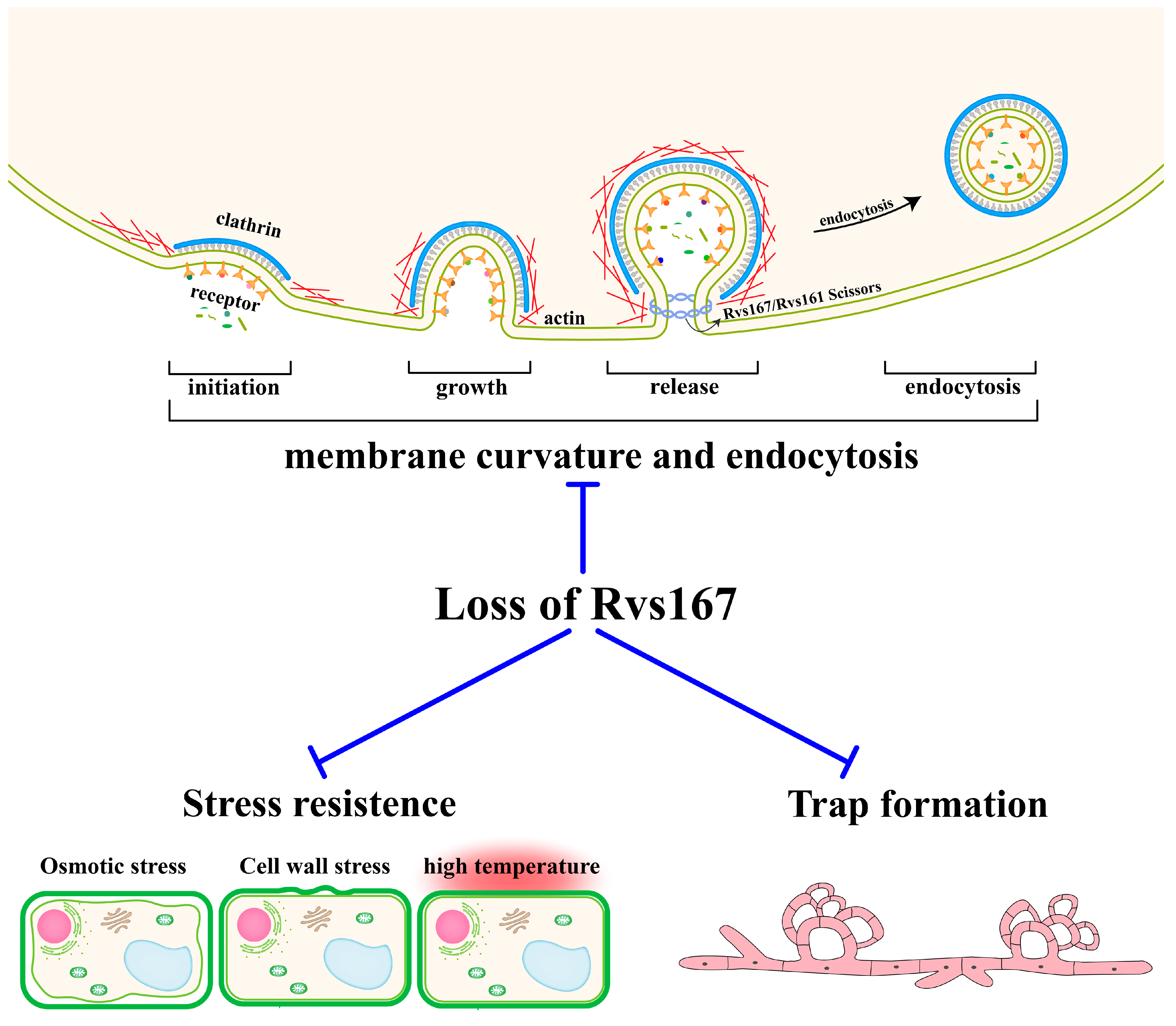 Pathogens 11 00997 g006