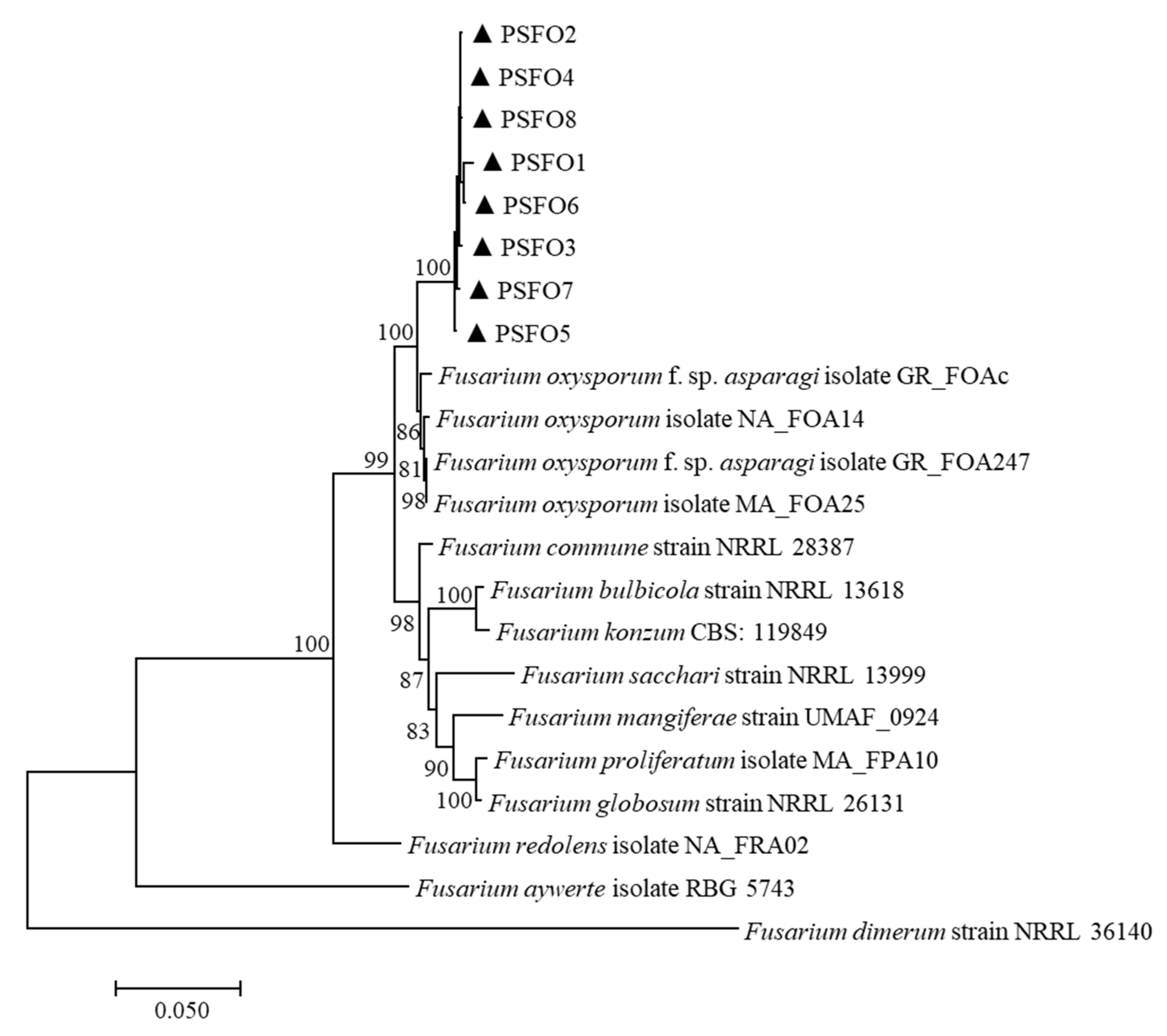 Pathogens 11 00999 g002 Pathogens 11 00999 g002