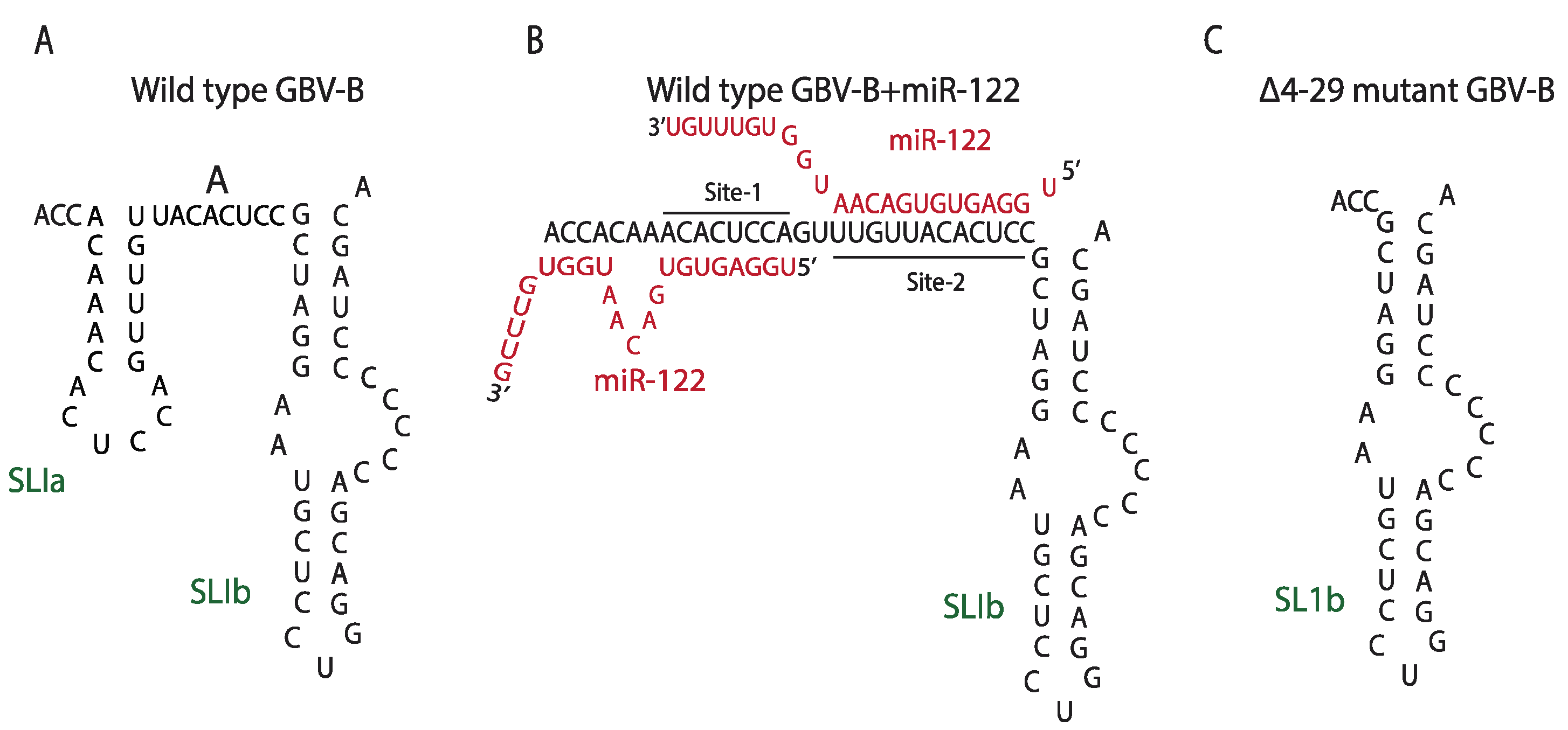 Pathogens 11 01005 g004 550