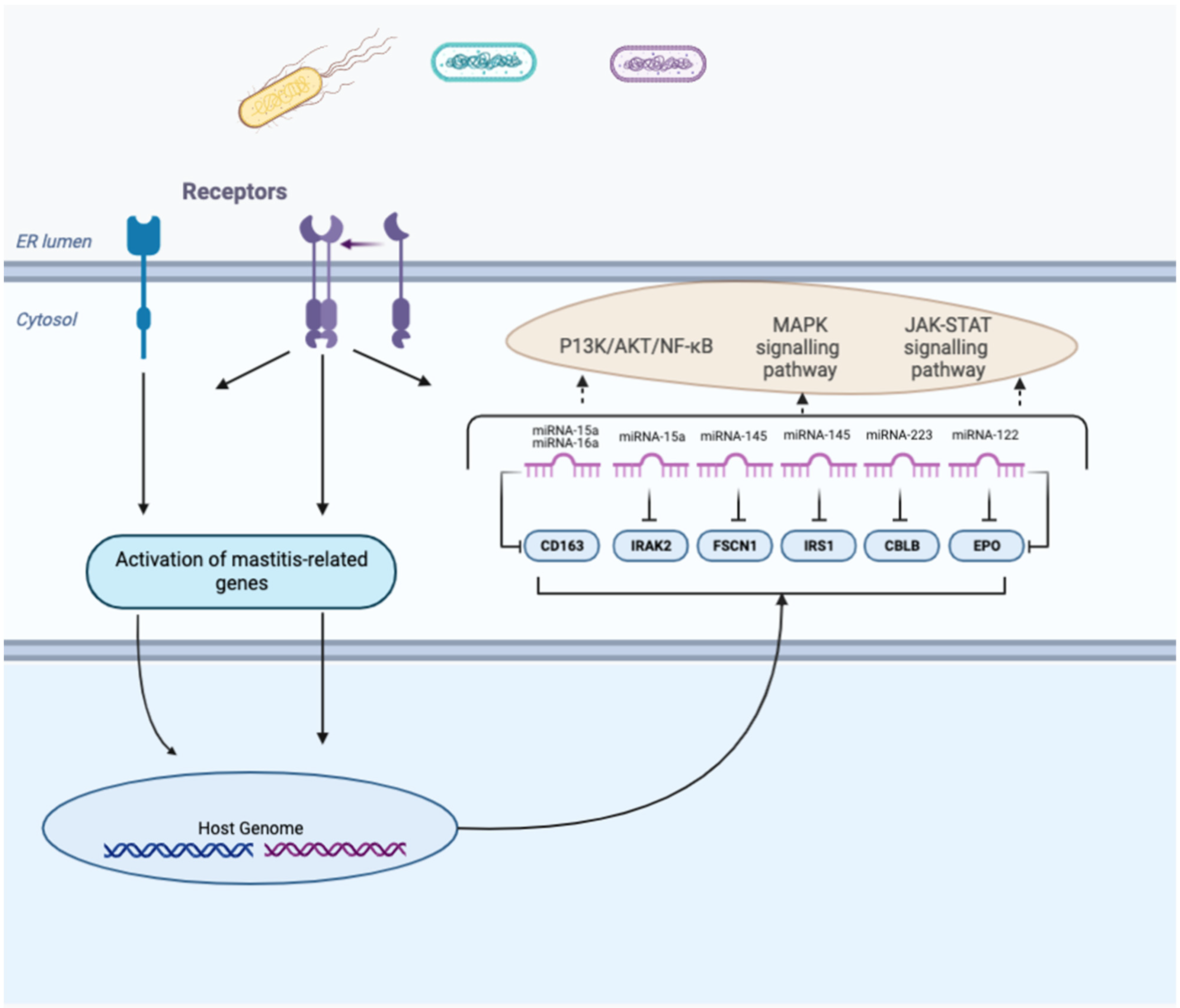 Pathogens 11 01009 g003 Pathogens 11 01009 g003