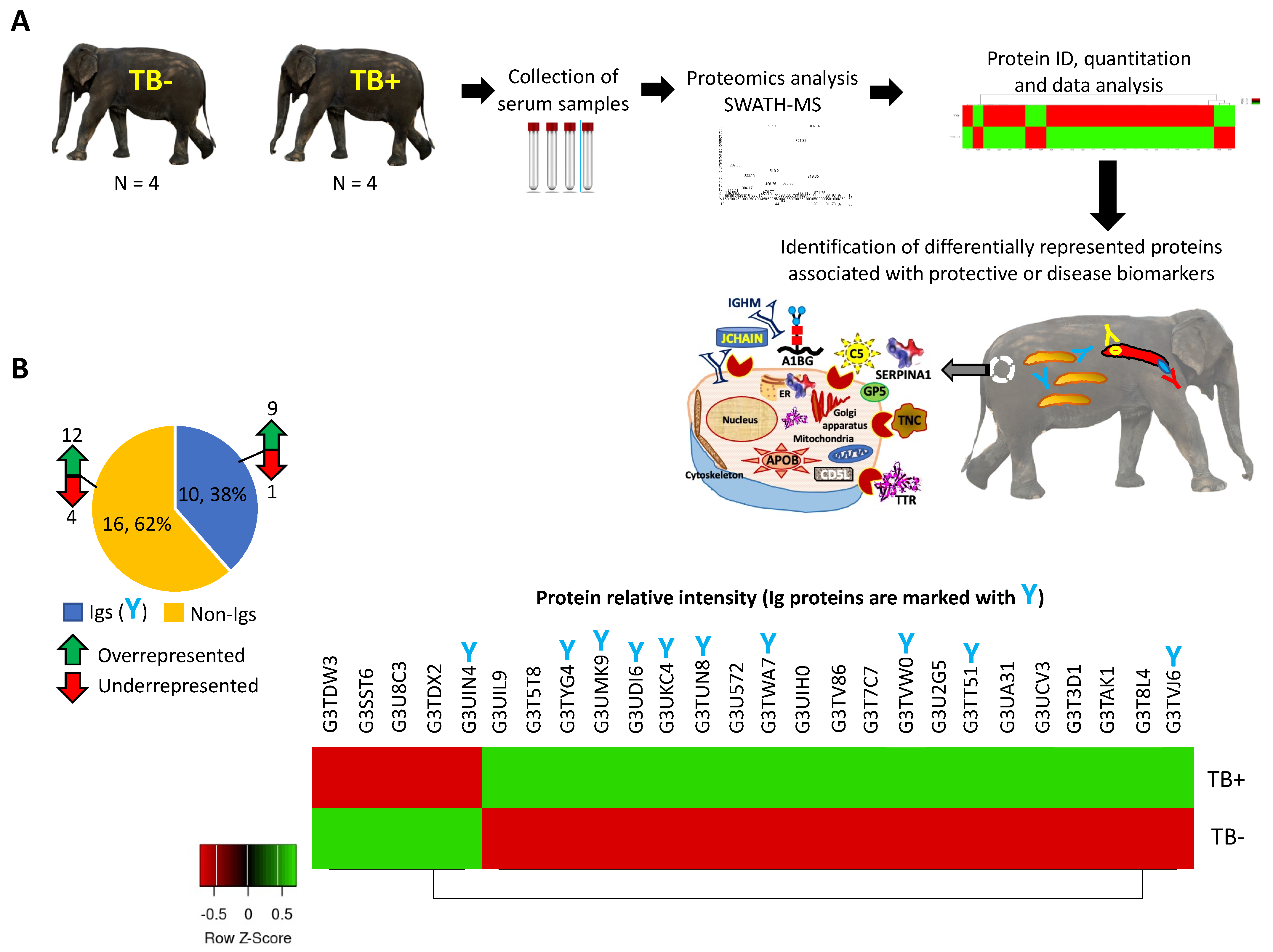 Pathogens 11 01010 g001 550
