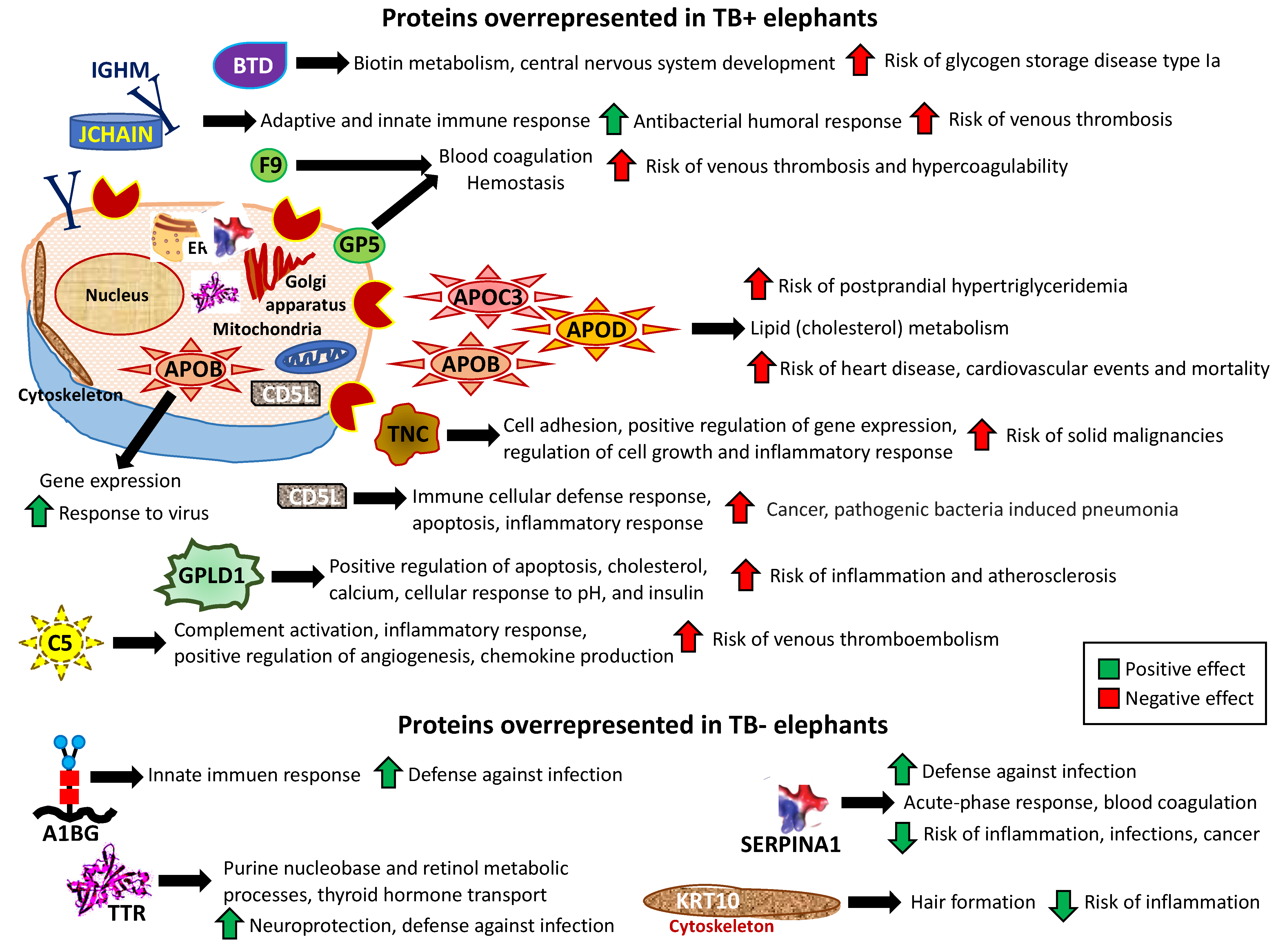 Pathogens 11 01010 g004 550