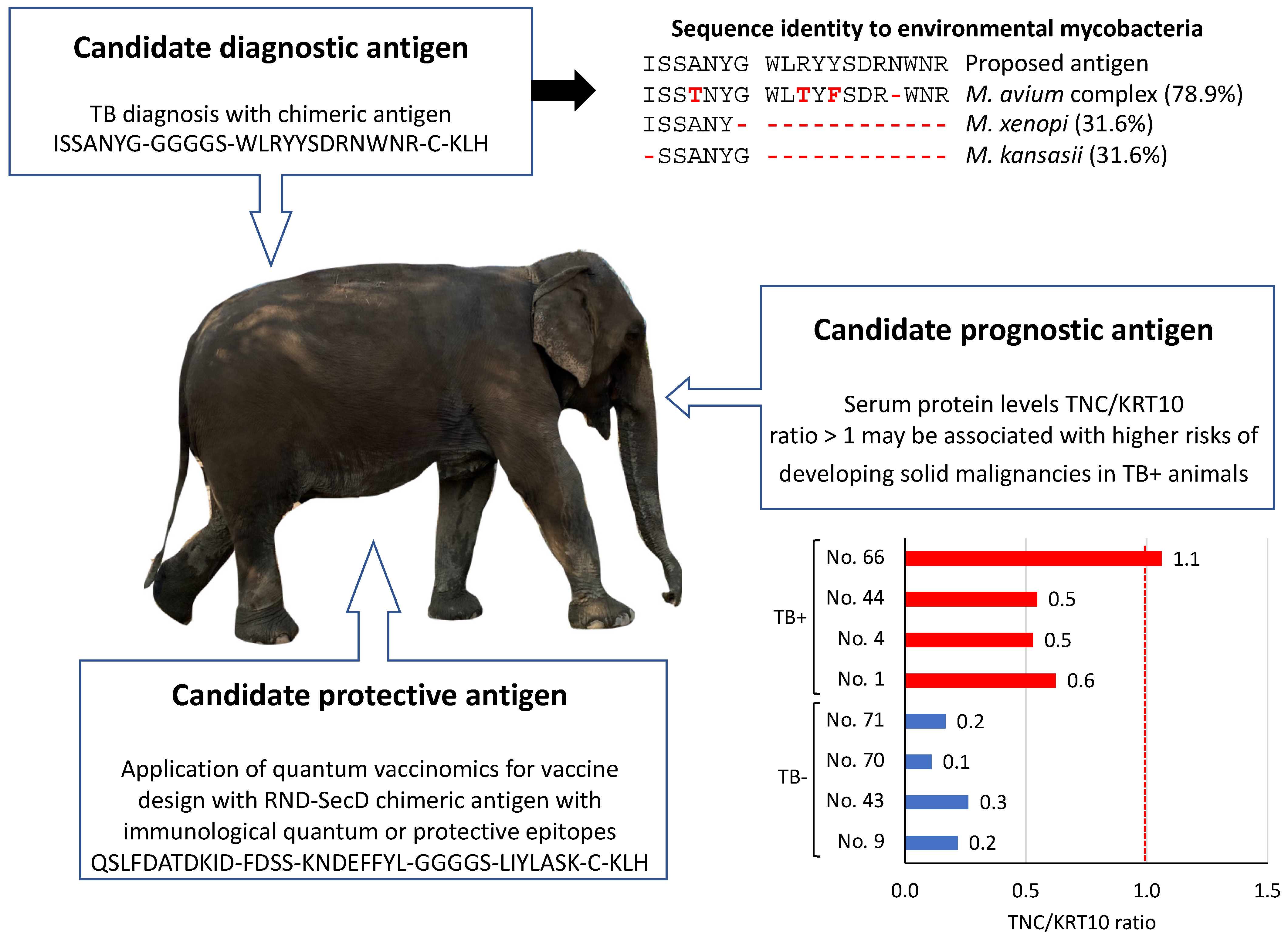 Pathogens 11 01010 g005 550