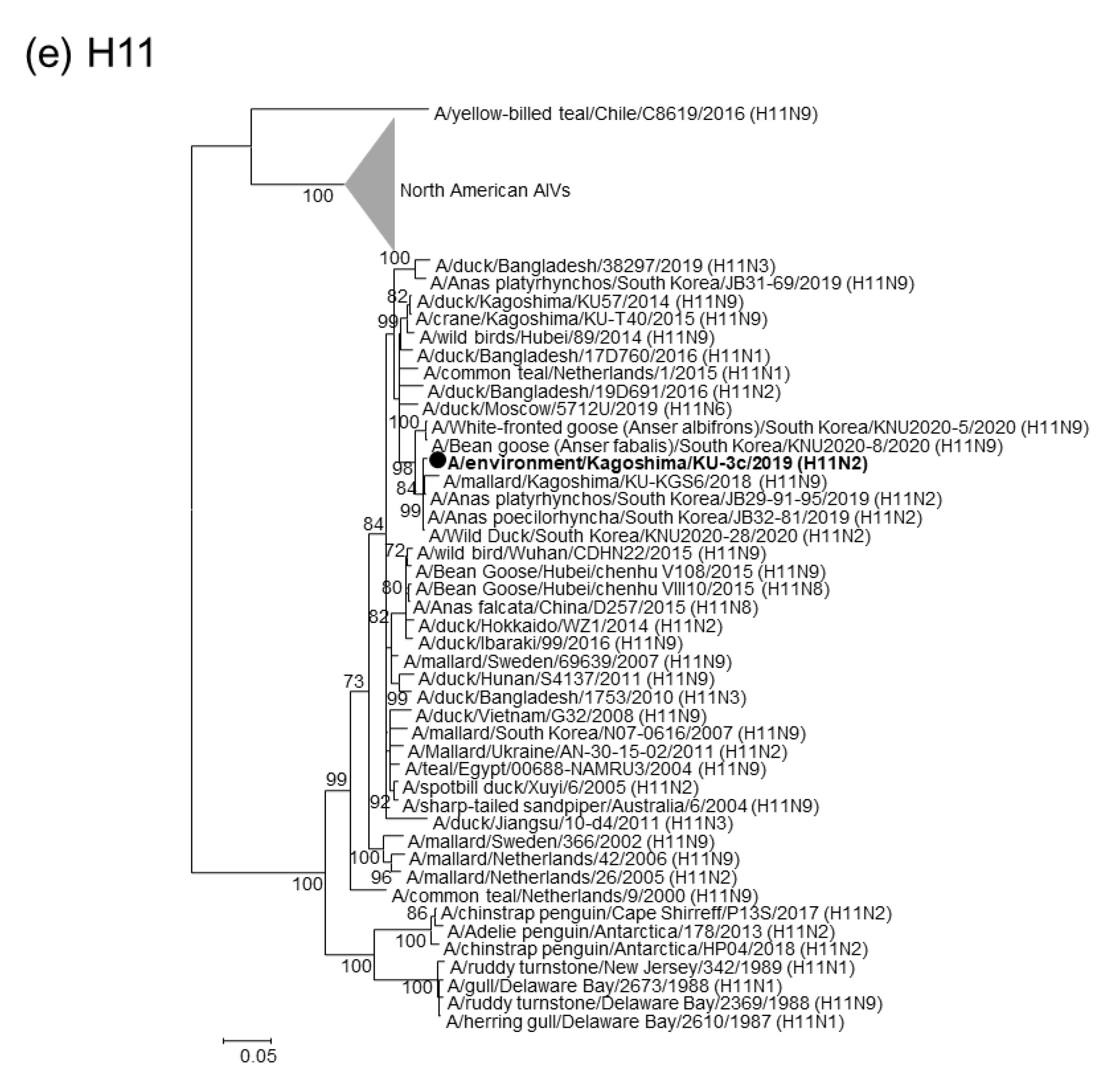 Pathogens 11 01013 g001b 550