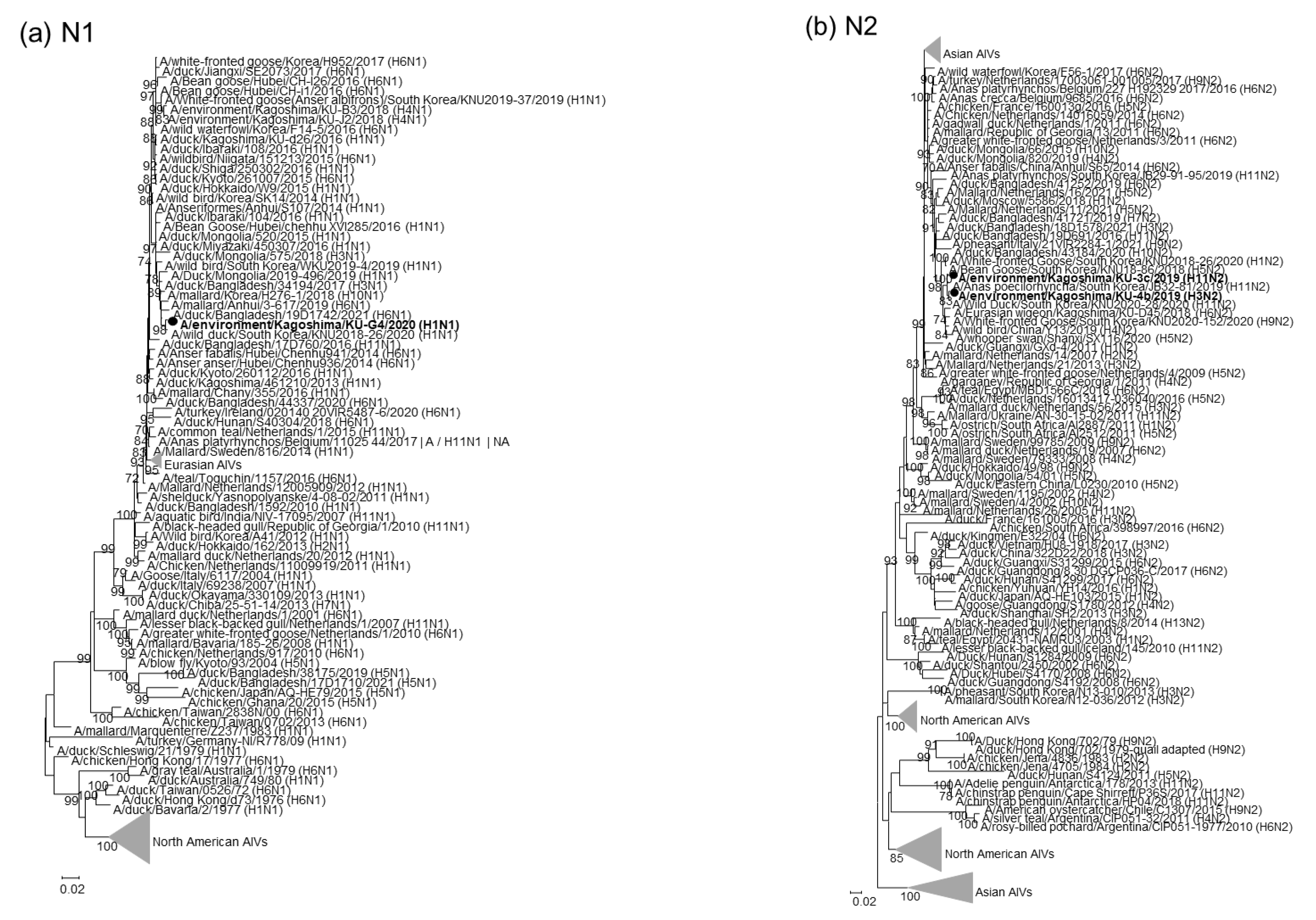 Pathogens 11 01013 g002a 550