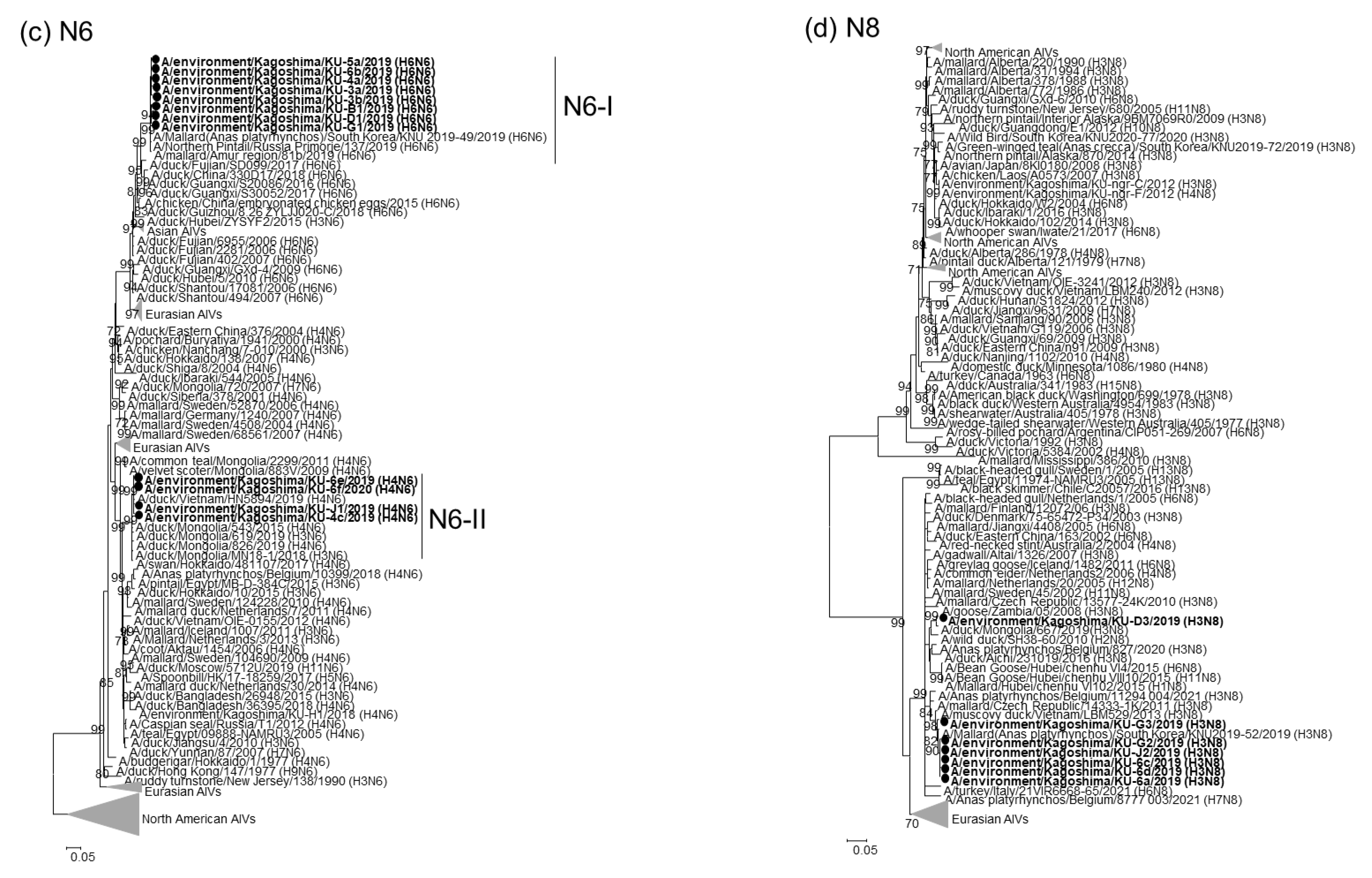 Pathogens 11 01013 g002b 550