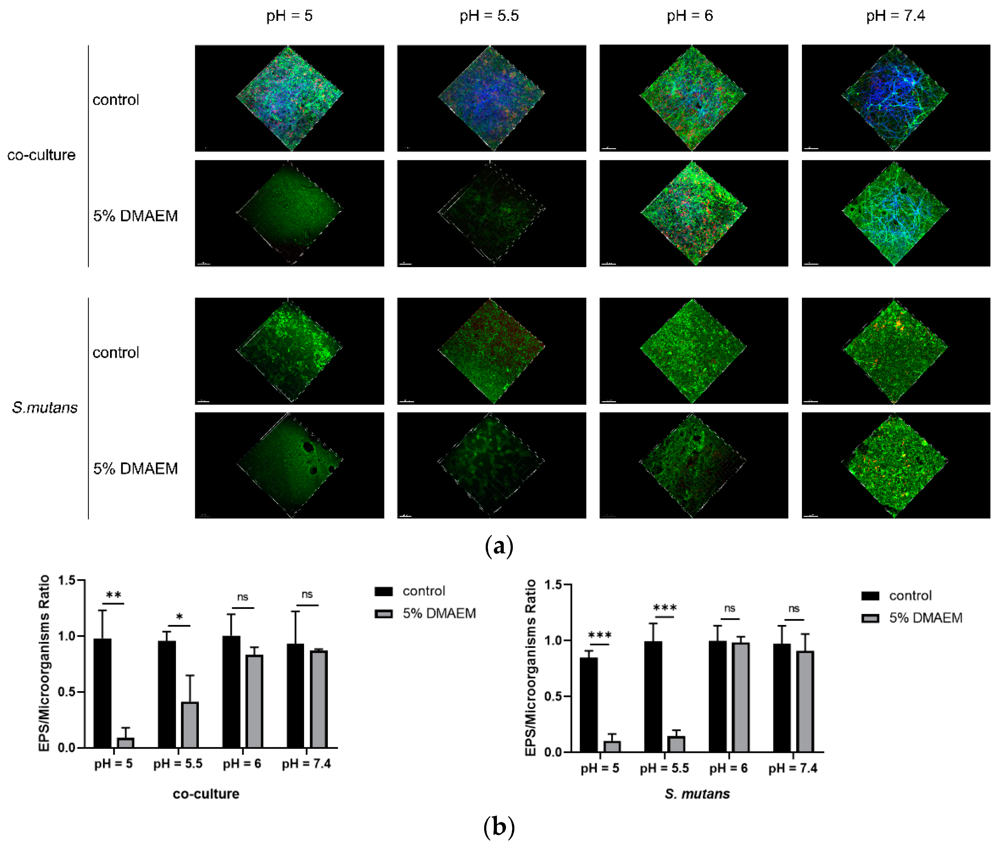 Pathogens 11 01014 g003 550