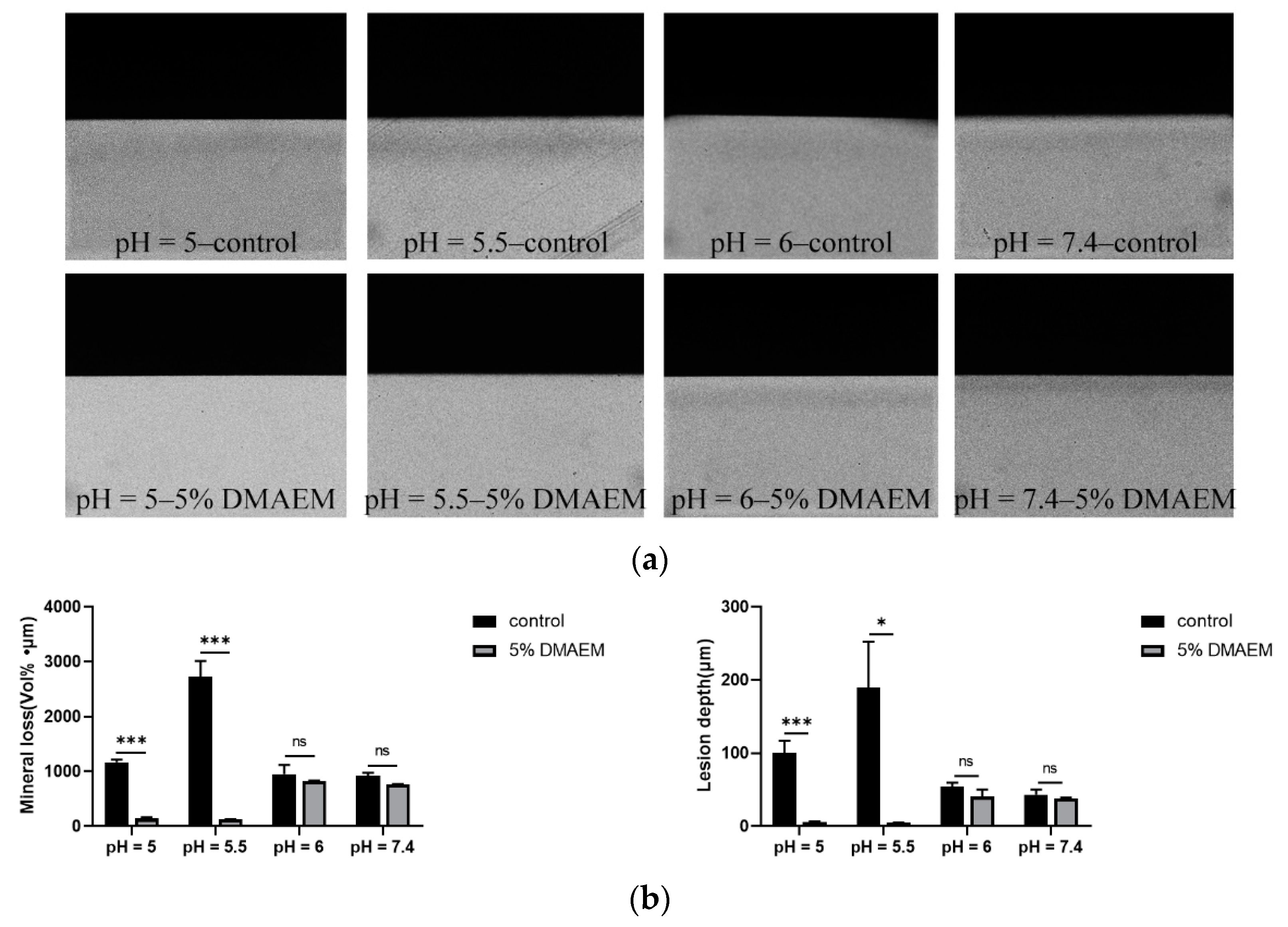 Pathogens 11 01014 g005 550