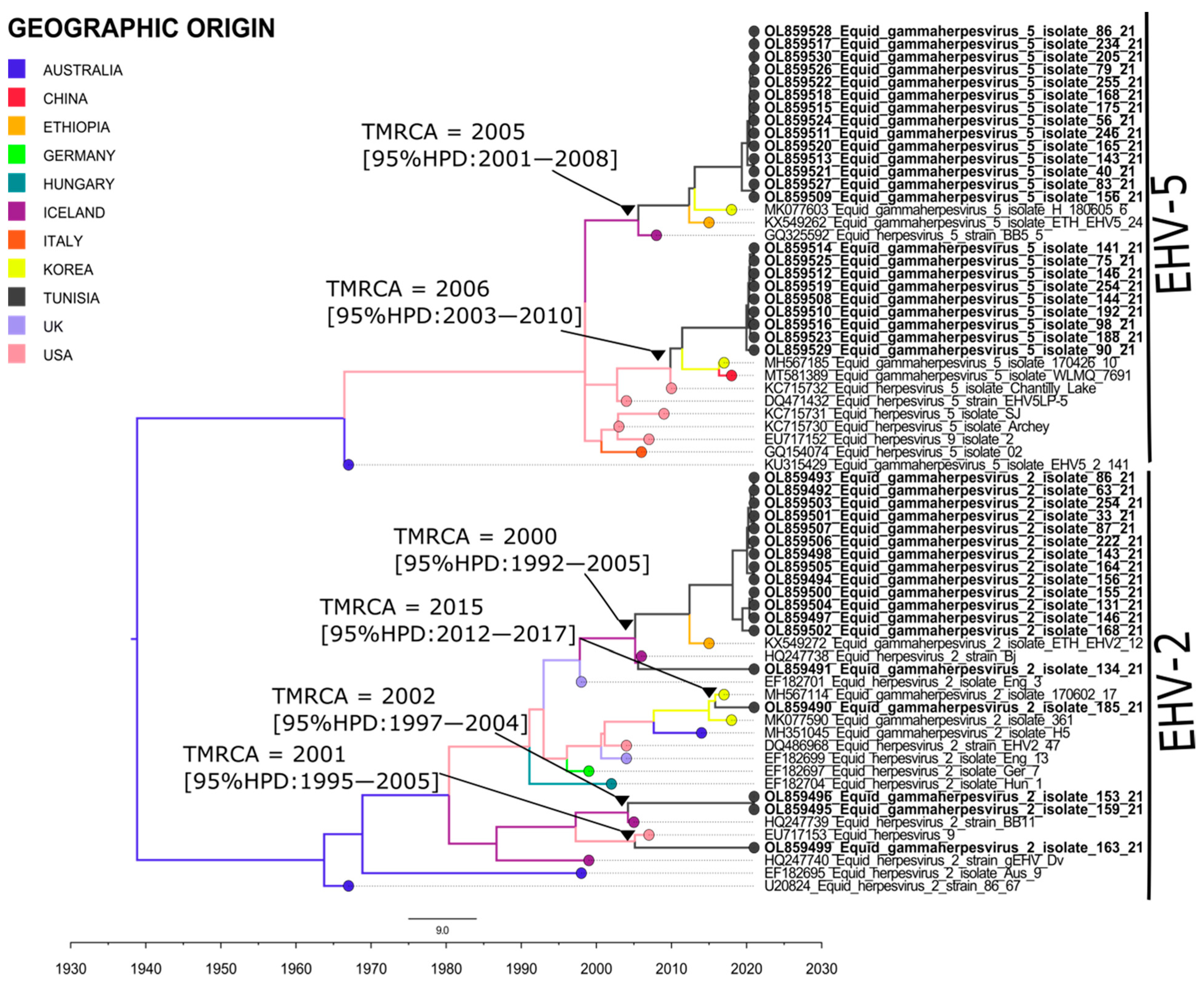 Pathogens 11 01016 g001 Pathogens 11 01016 g001