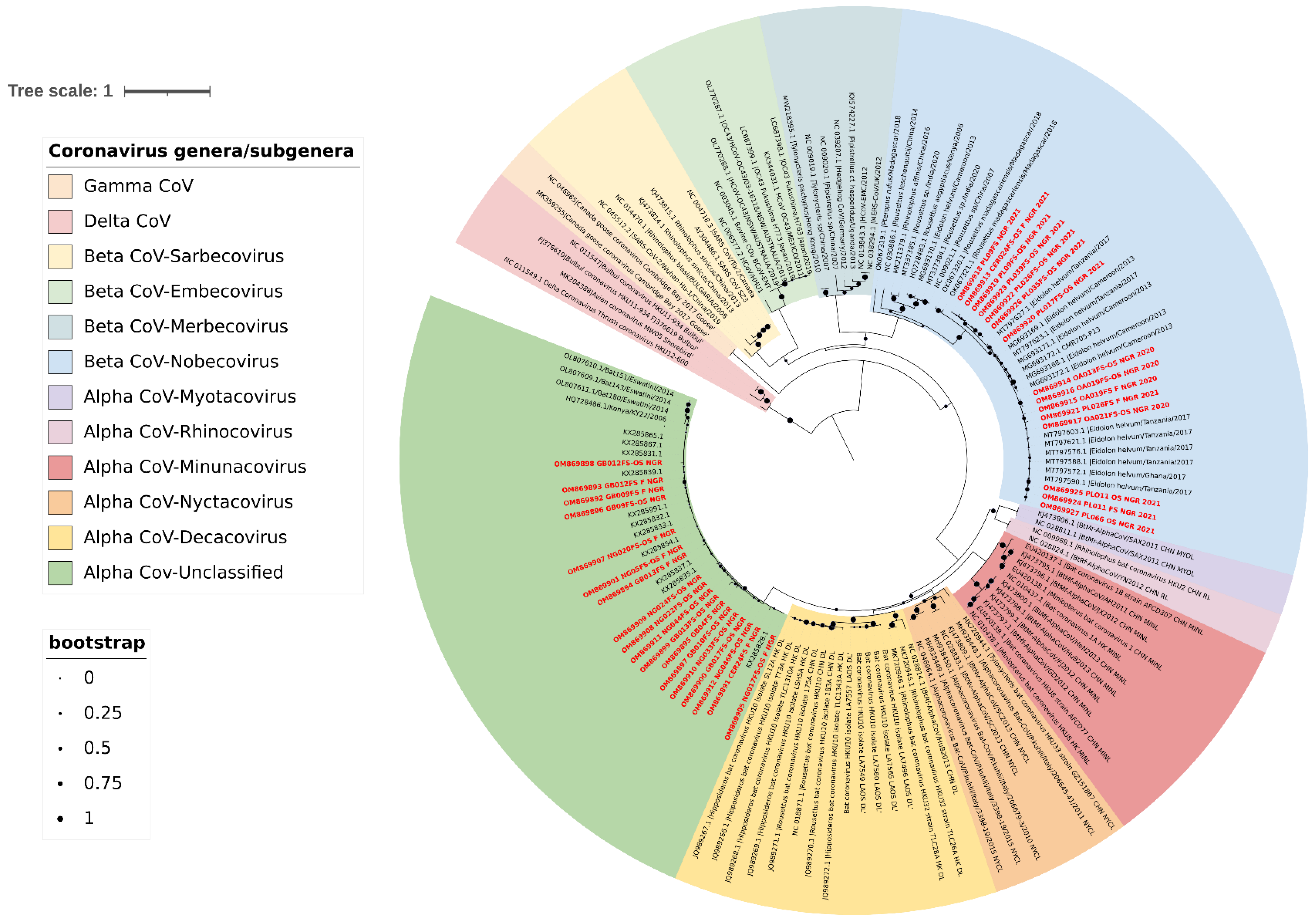 Pathogens 11 01017 g003