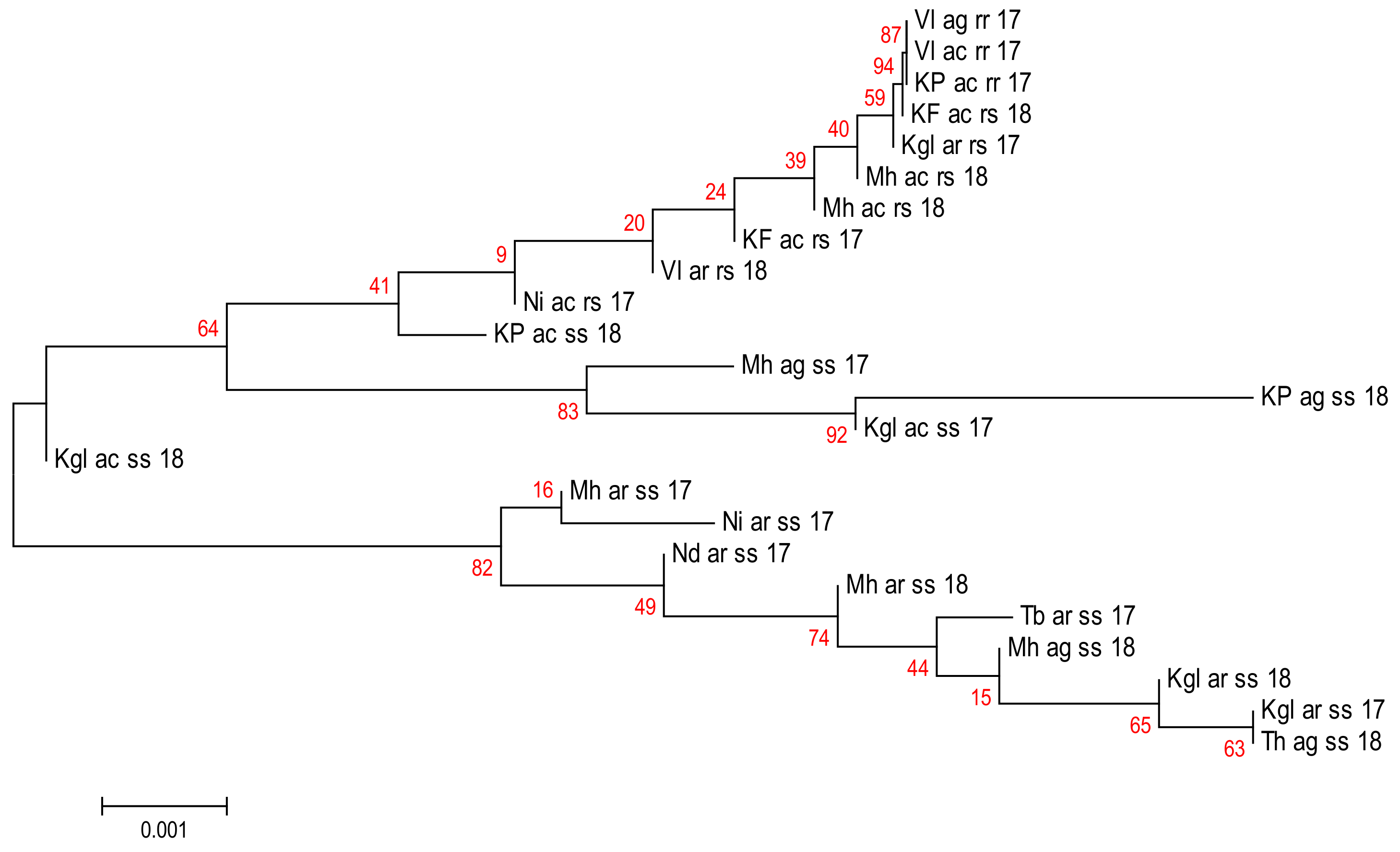 Pathogens 11 01021 g004 Pathogens 11 01021 g004
