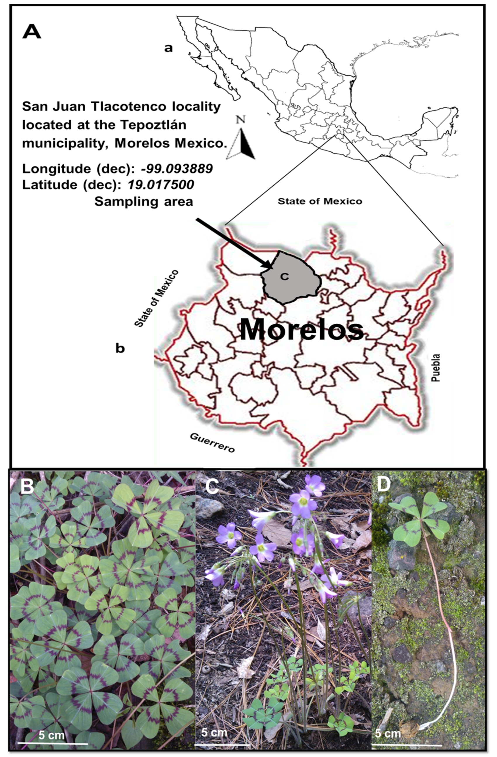 Pathogens 11 01024 g003