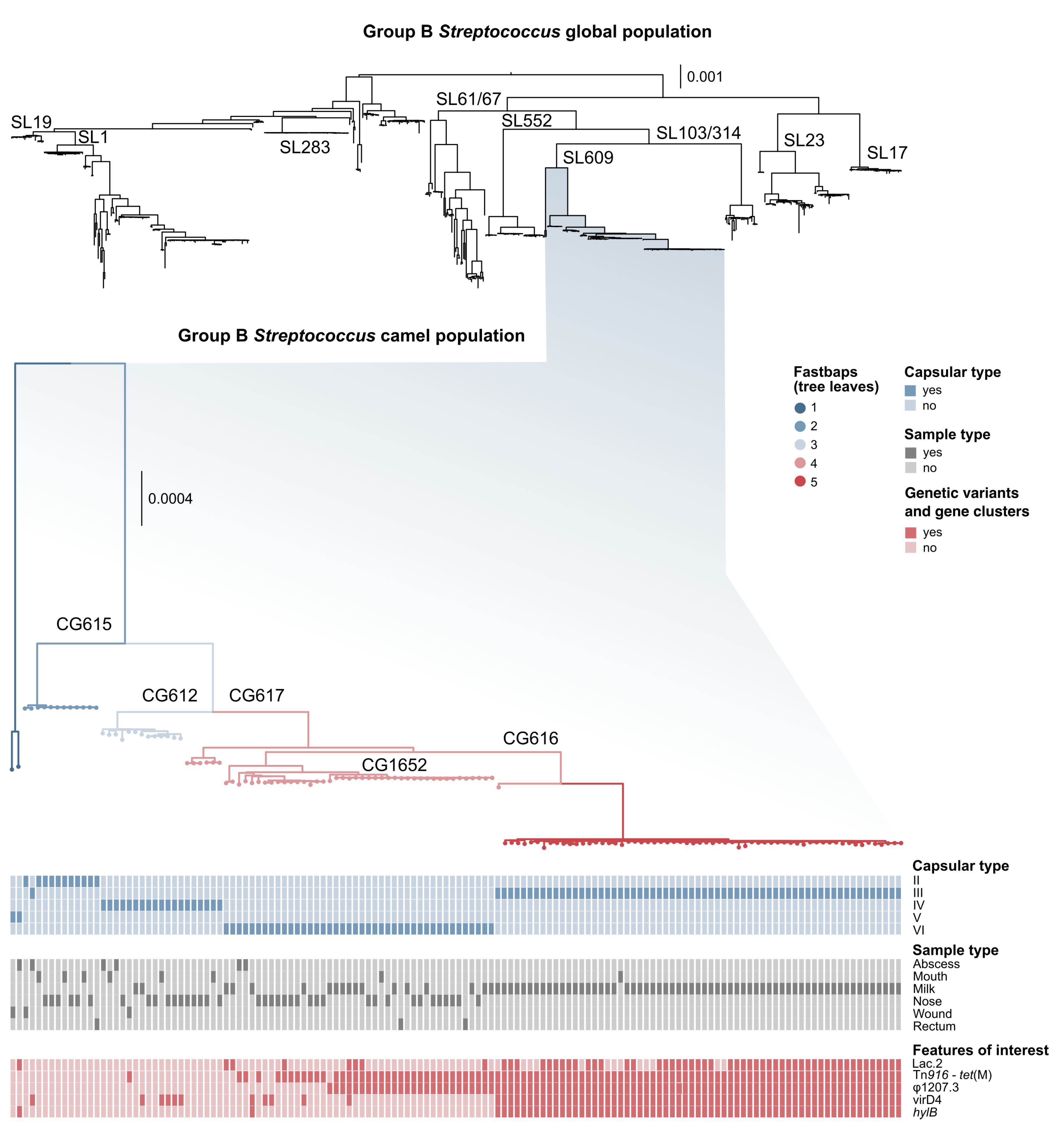 Pathogens 11 01025 g001