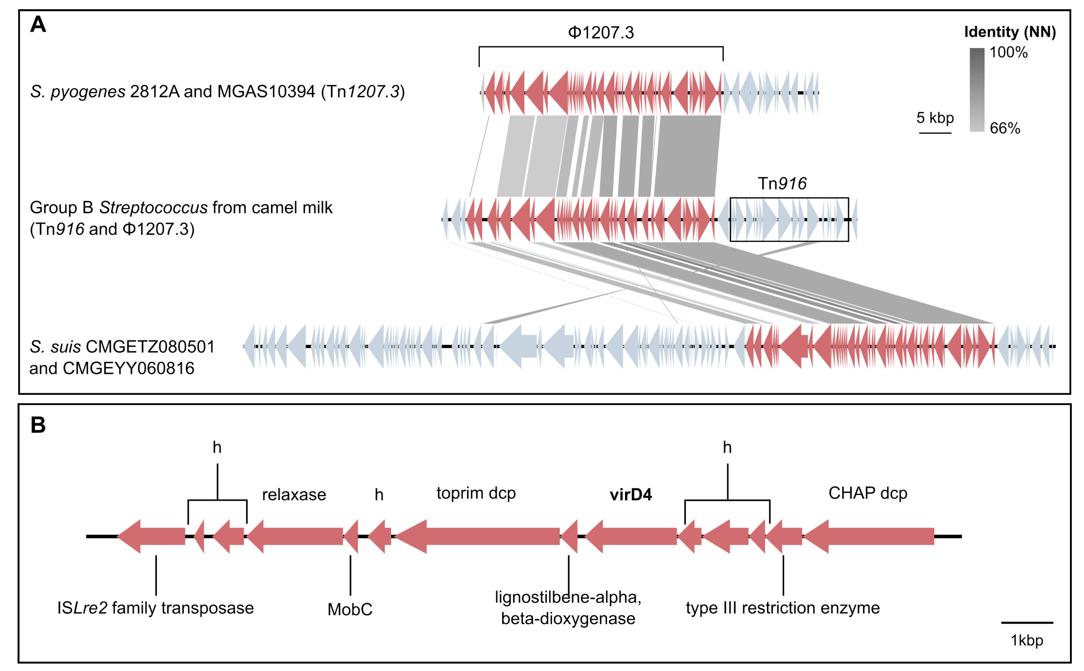 Pathogens 11 01025 g004