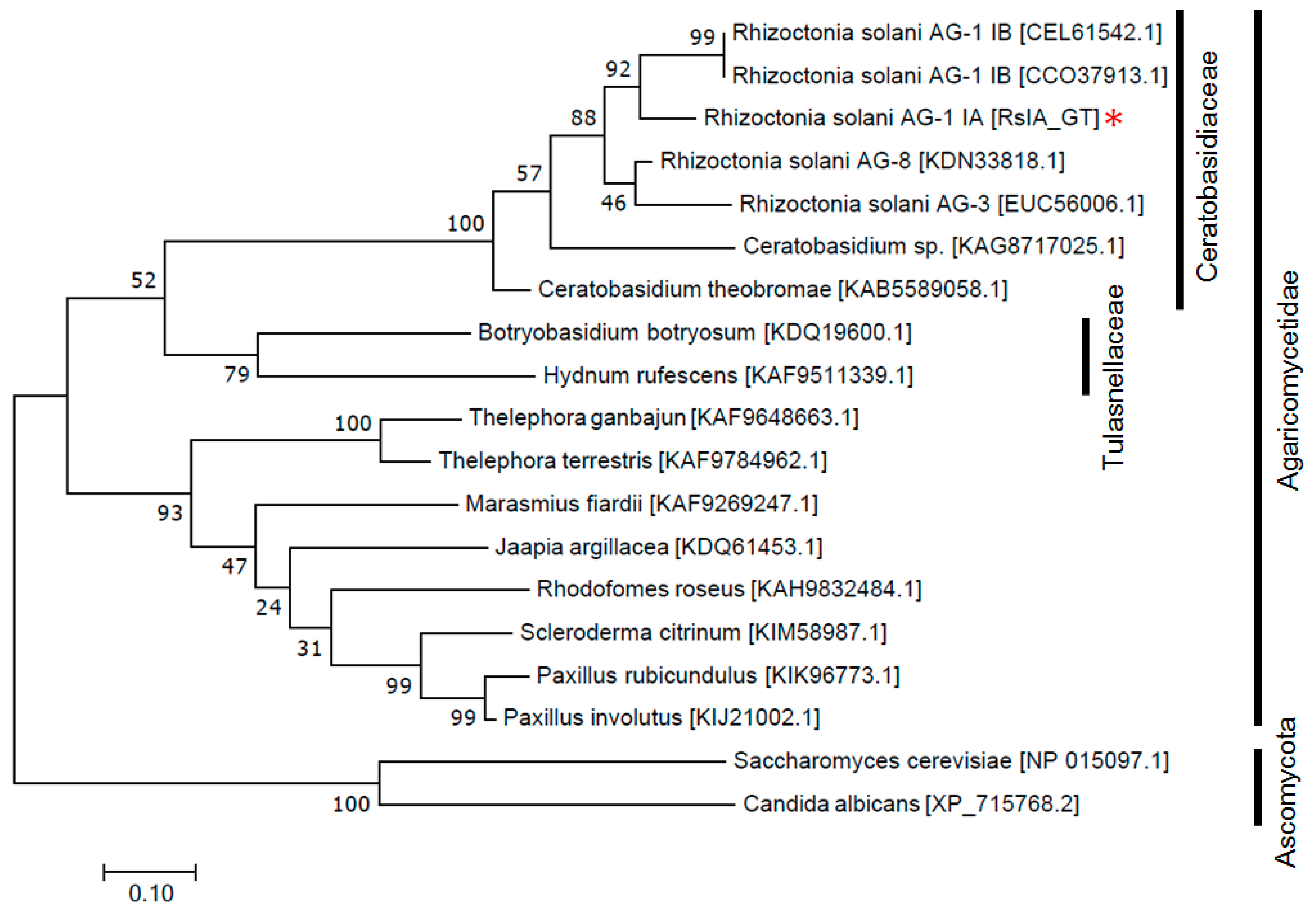 Pathogens 11 01026 g001 550