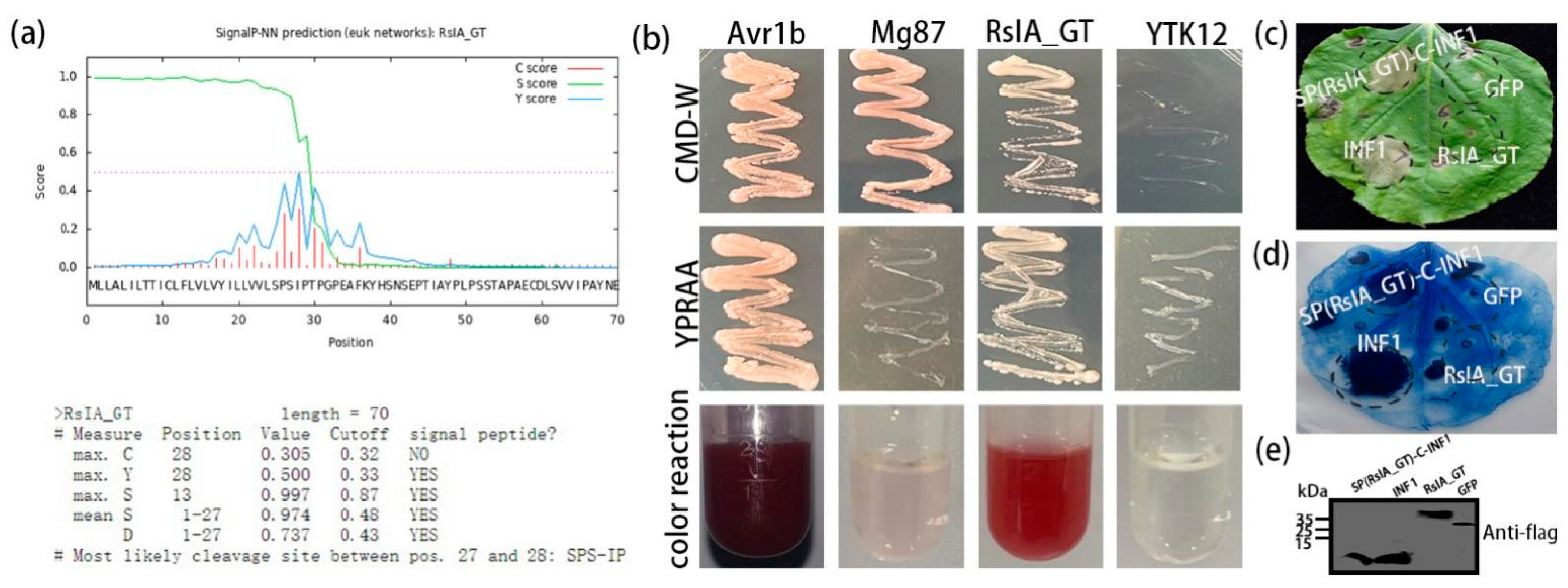 Pathogens 11 01026 g002 550