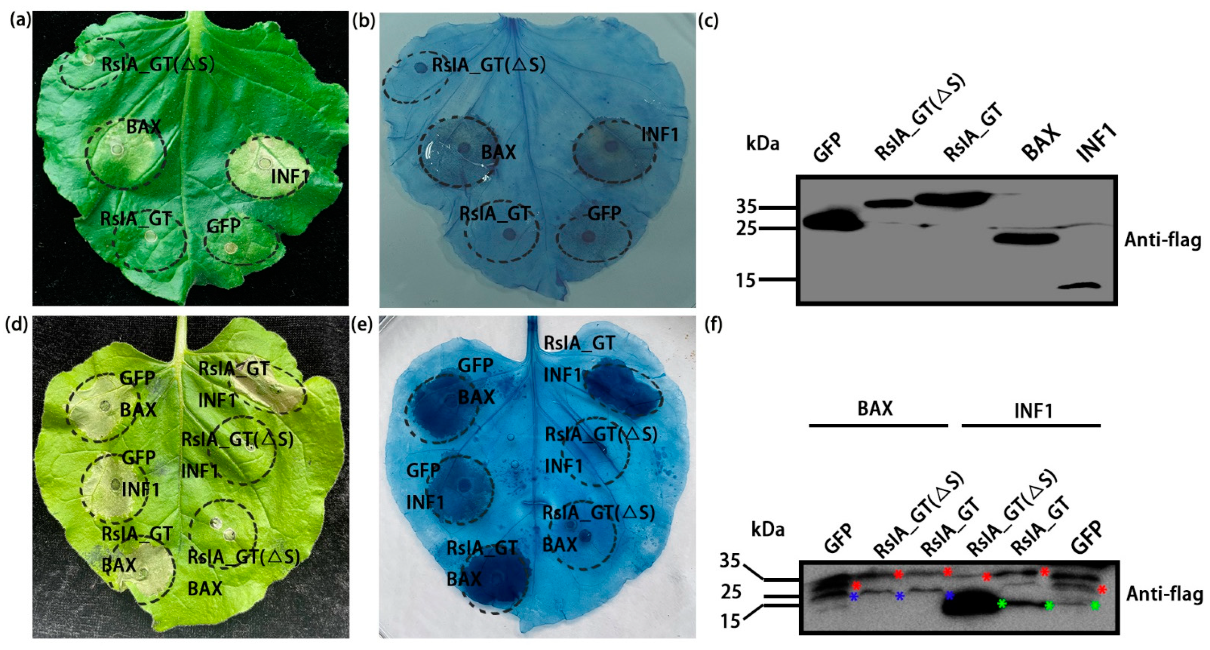 Pathogens 11 01026 g004 550