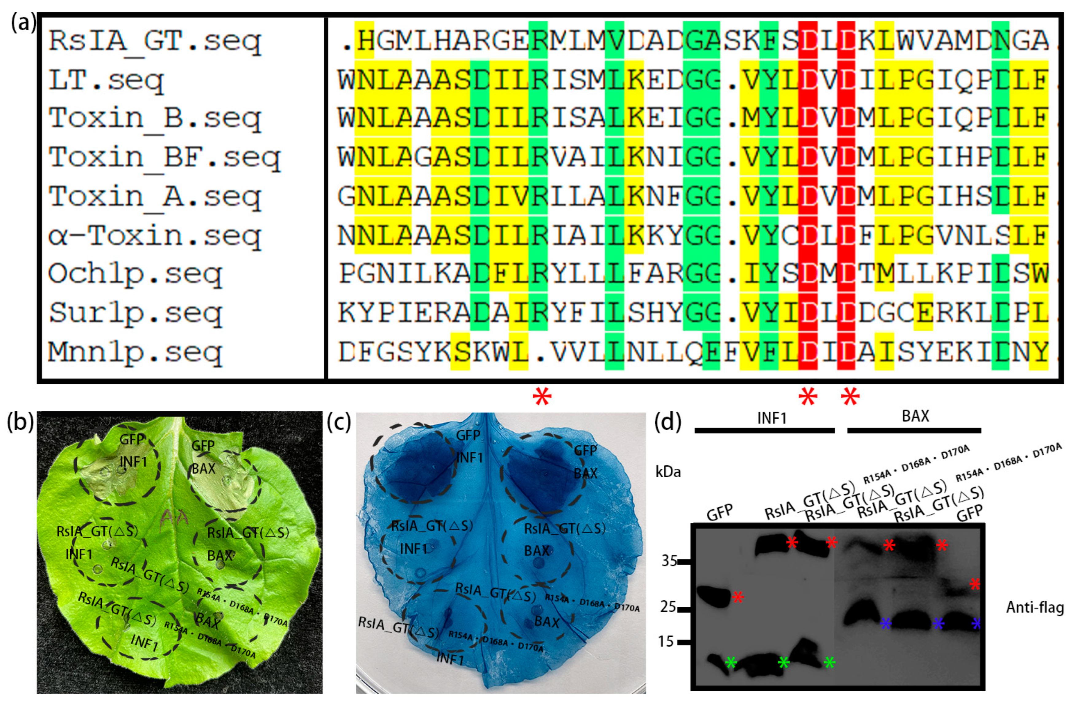 Pathogens 11 01026 g006 550