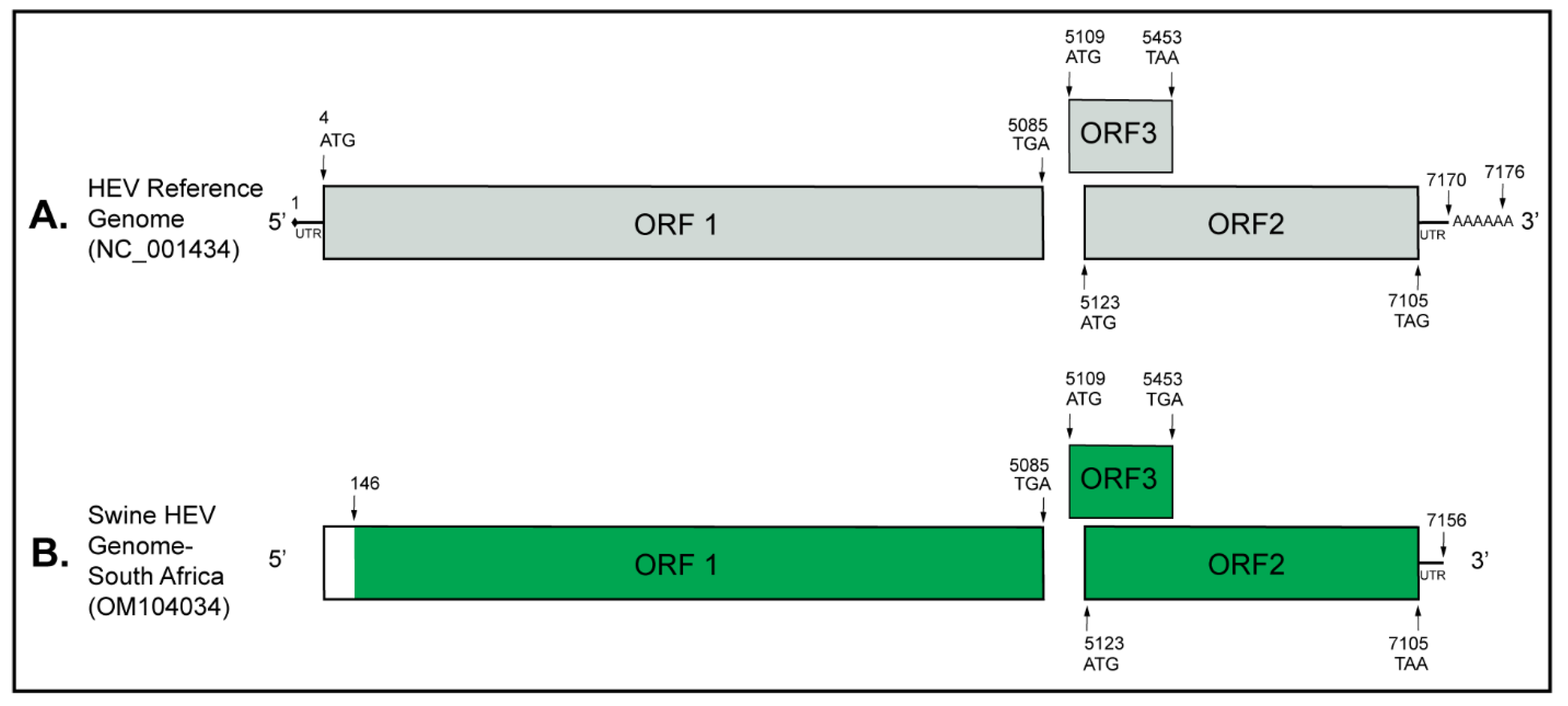 Pathogens 11 01030 g001