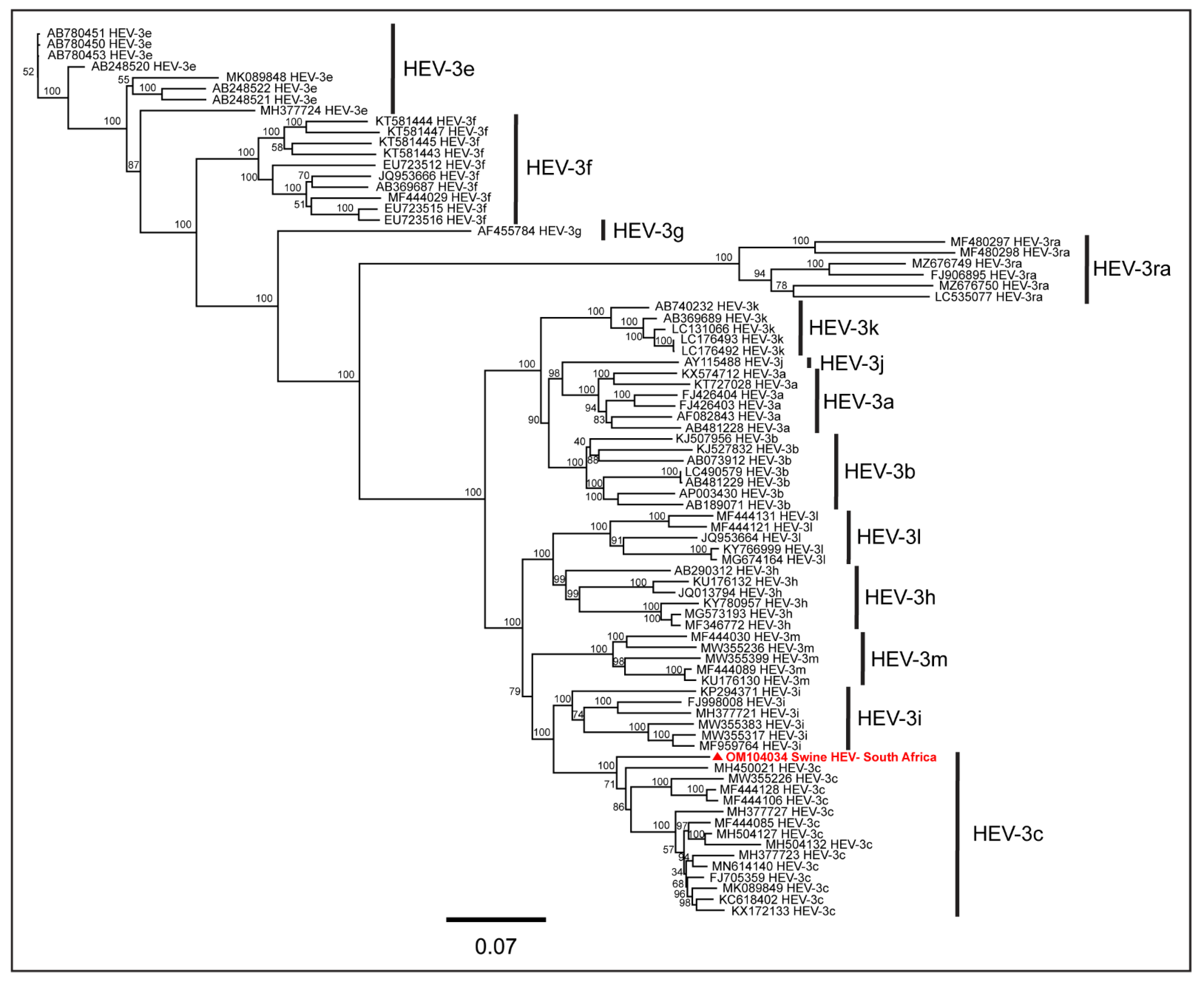 Pathogens 11 01030 g003