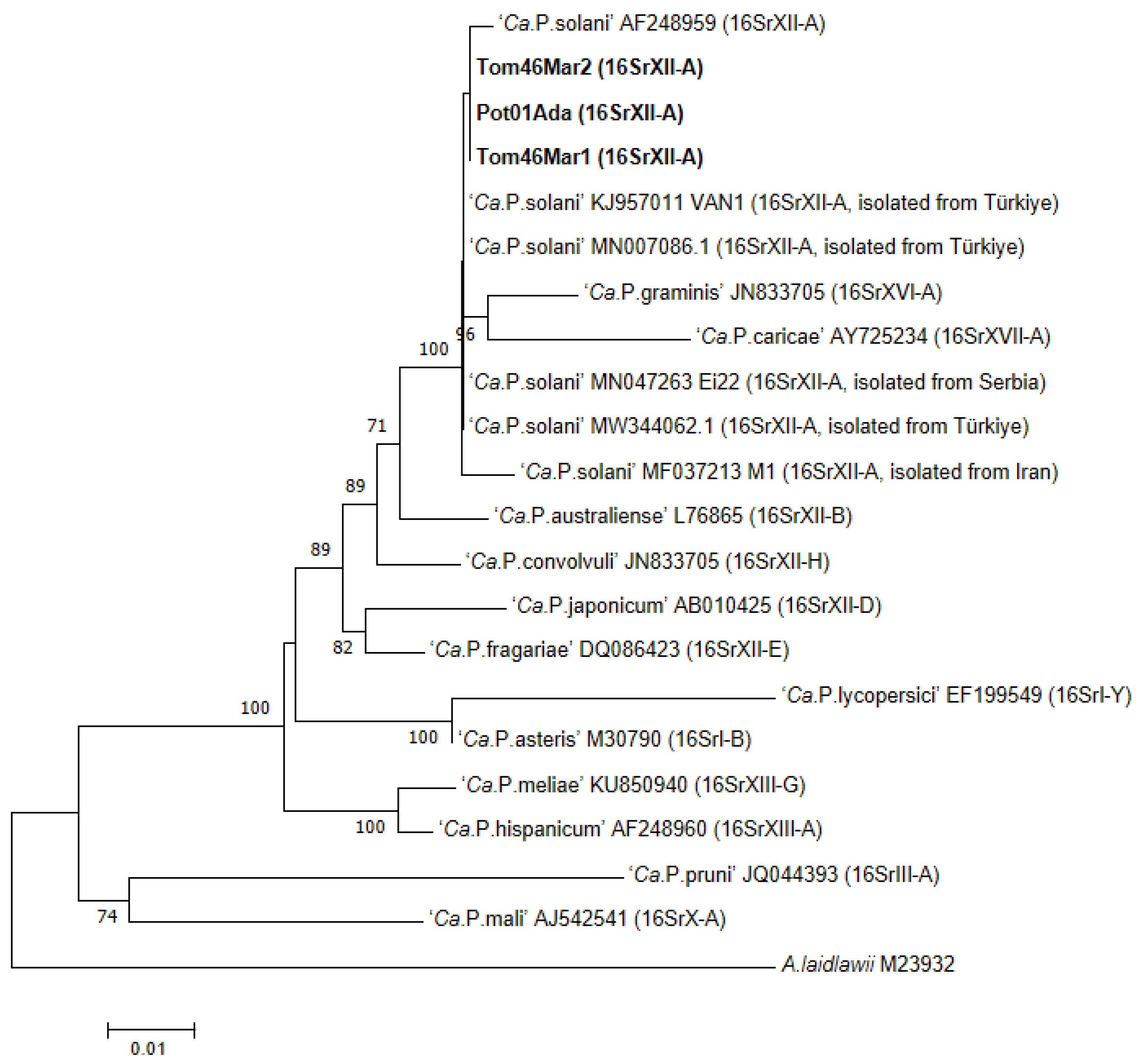 Pathogens 11 01031 g002