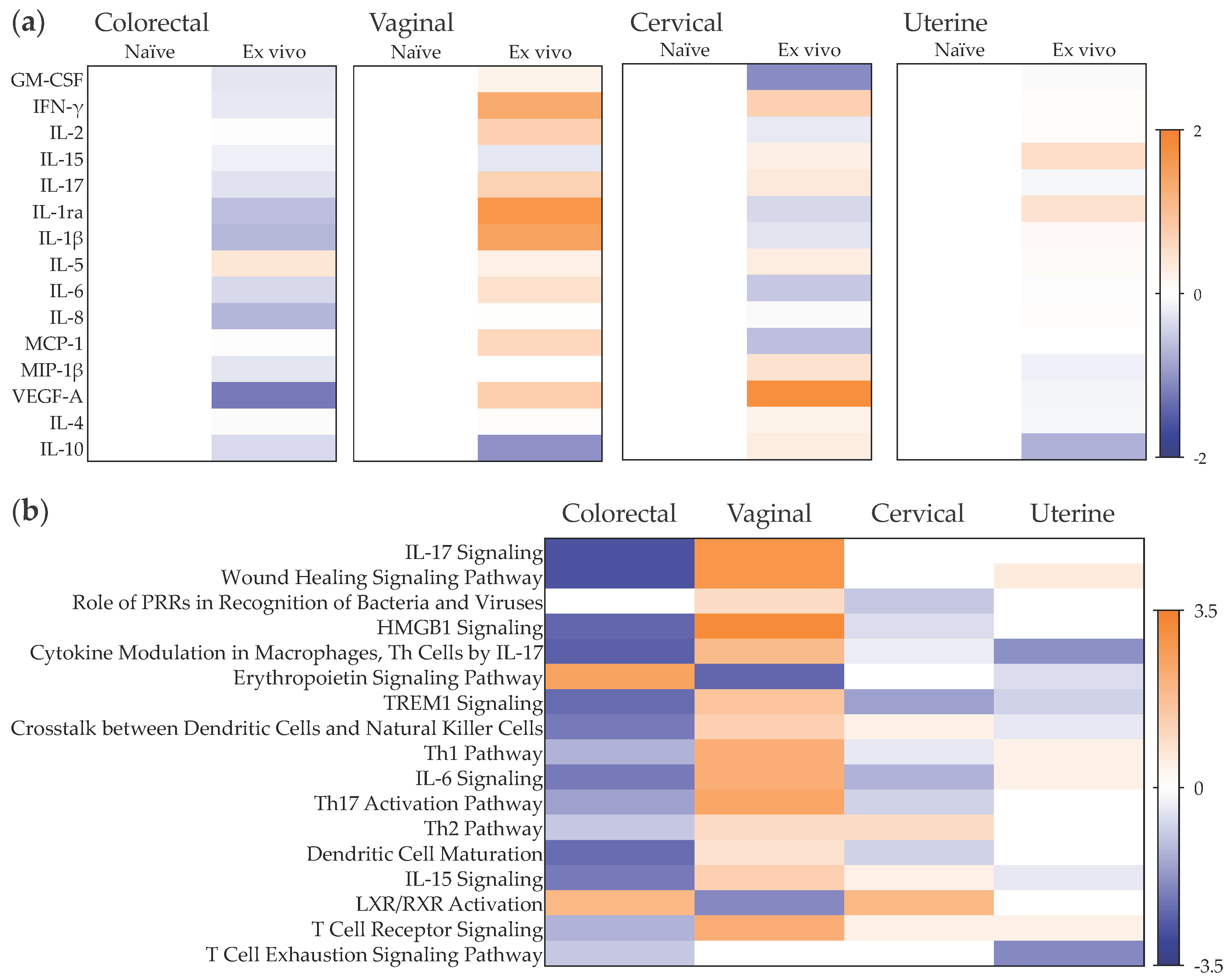 Pathogens 11 01033 g008 Pathogens 11 01033 g008