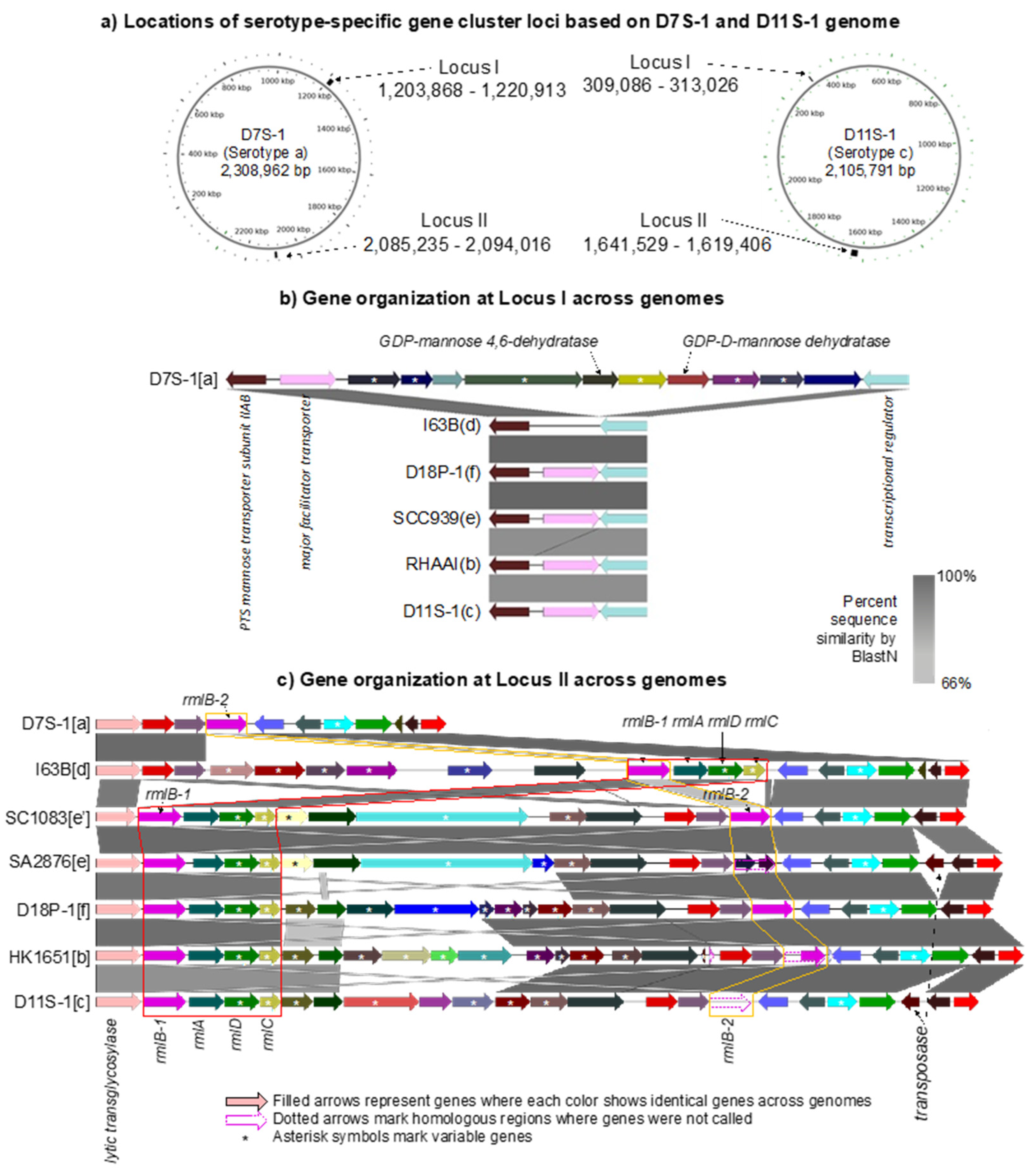 Pathogens 11 01037 g004 Pathogens 11 01037 g004