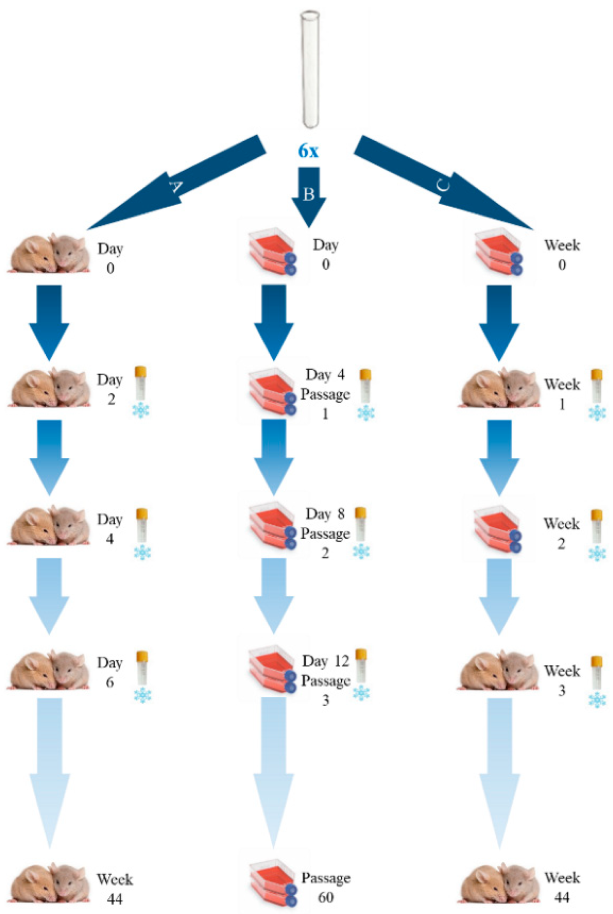 Pathogens 11 01038 g001 550