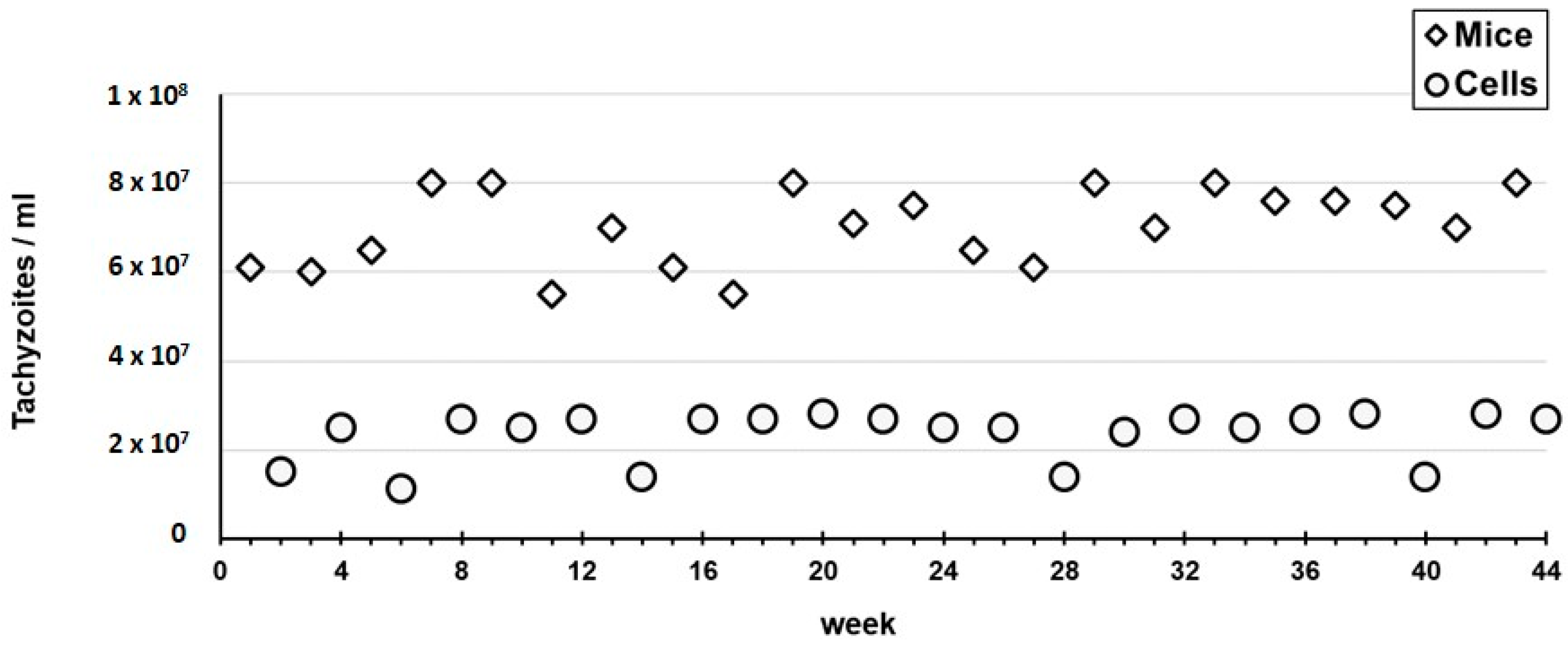 Pathogens 11 01038 g006 550