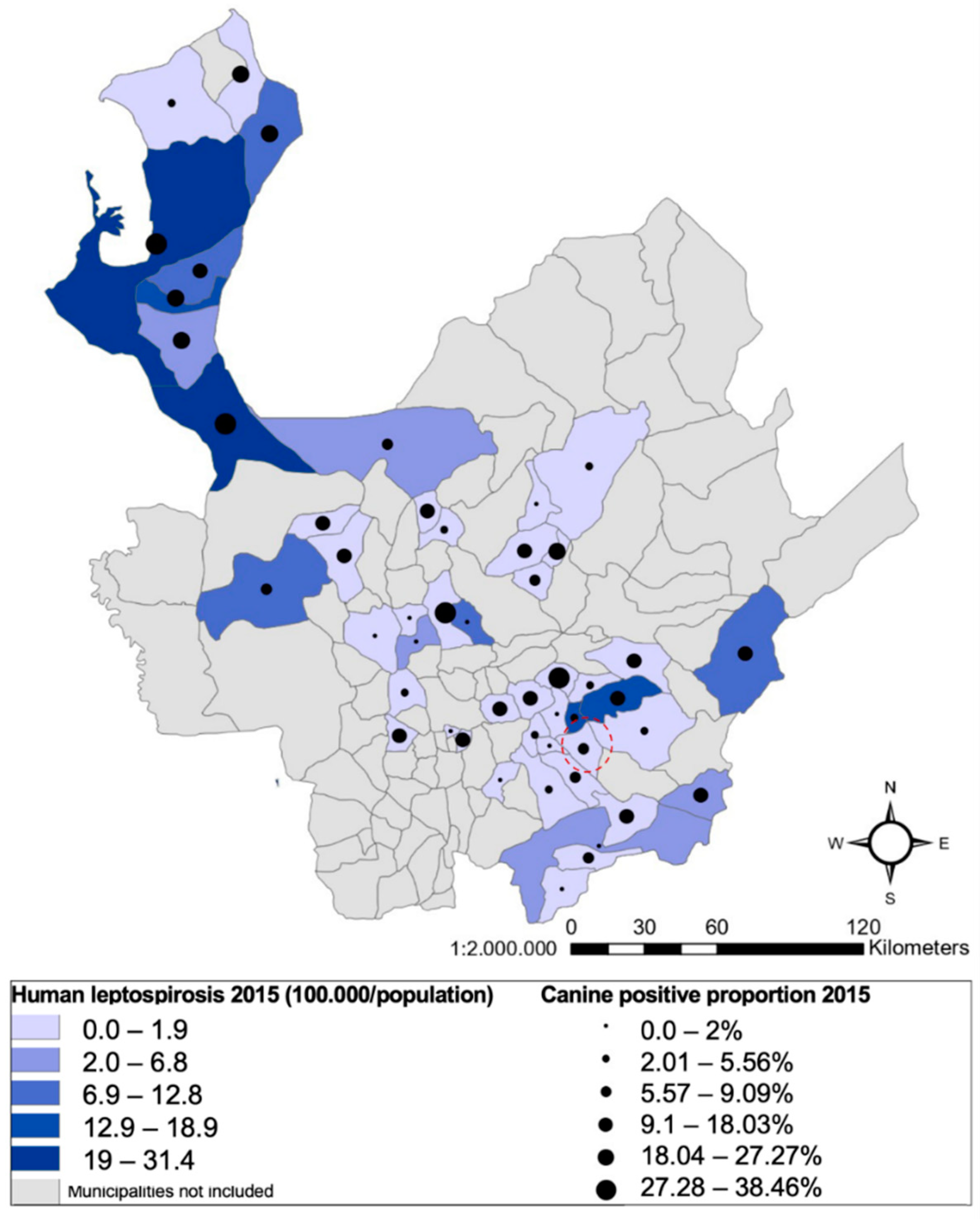 Pathogens 11 01040 g002