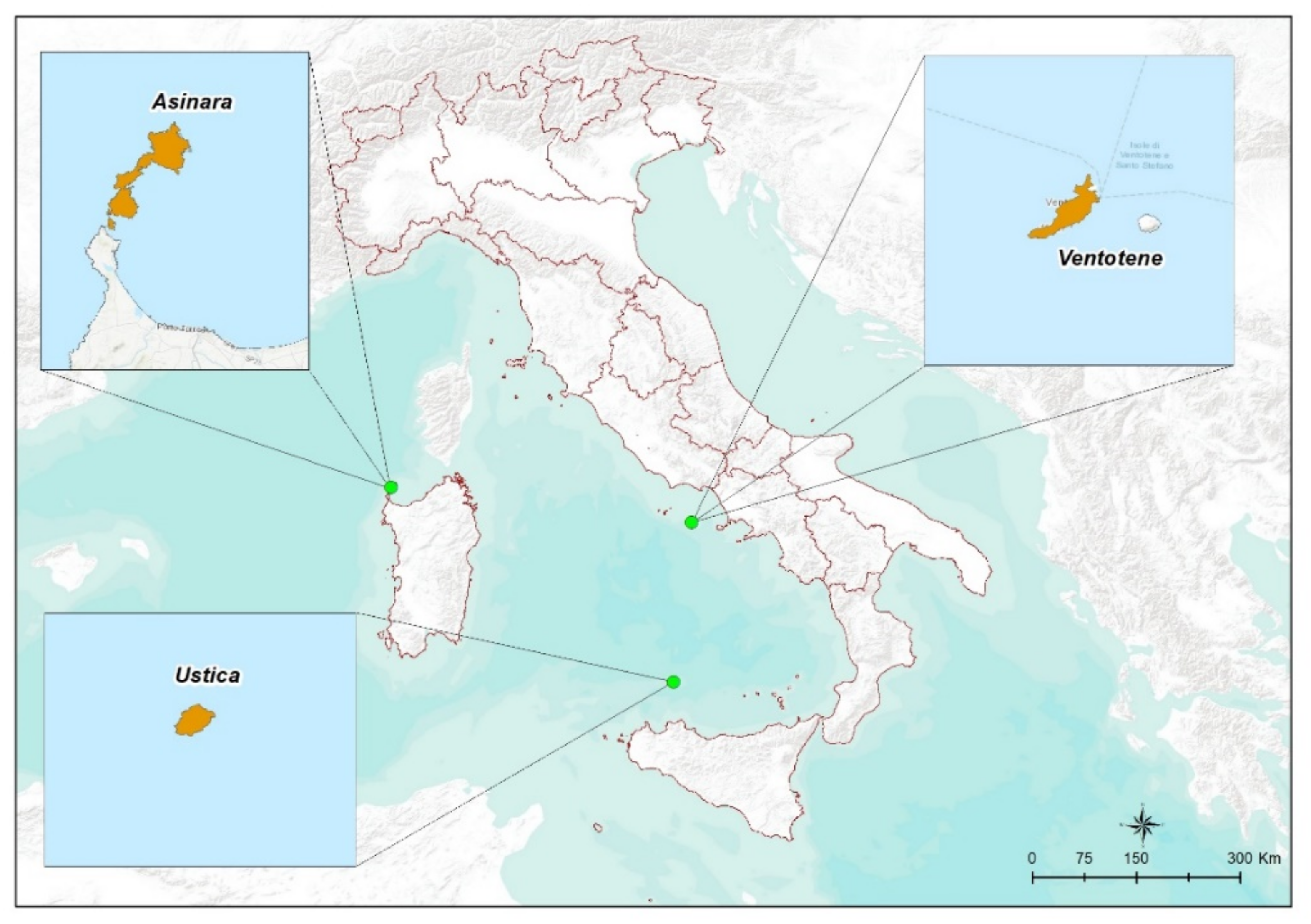 Pathogens 11 01056 g001 Pathogens 11 01056 g001