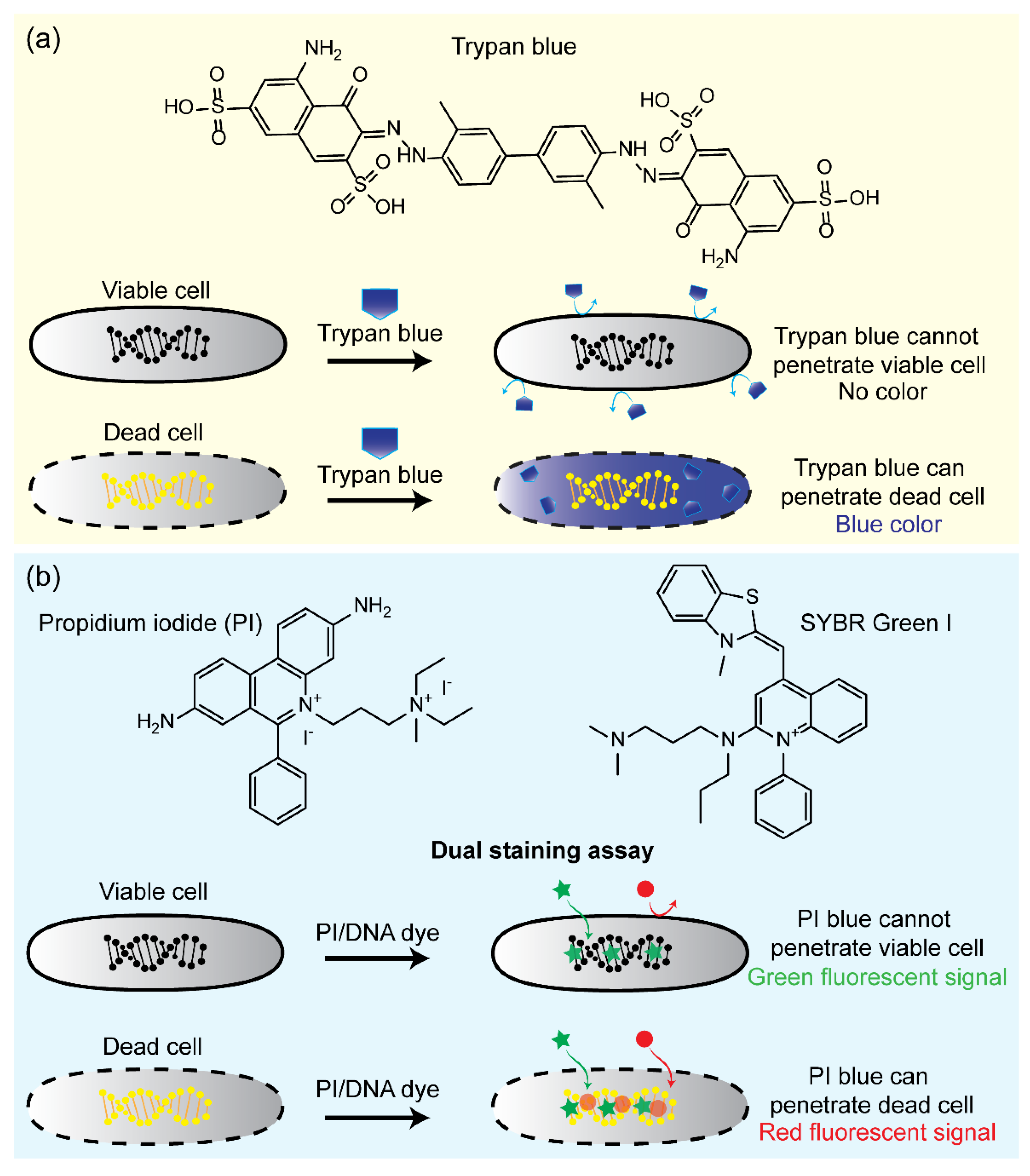 Pathogens 11 01057 g003 Pathogens 11 01057 g003