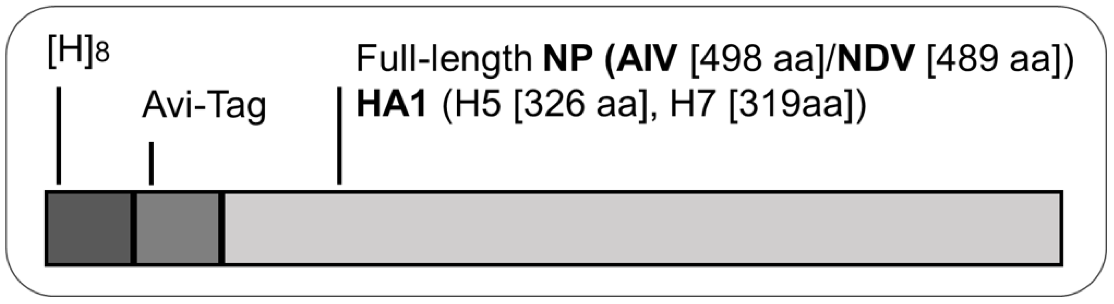 Pathogens 11 01059 g001 Pathogens 11 01059 g001