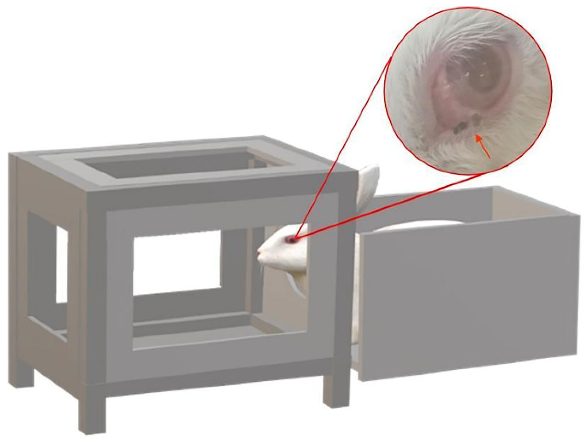 Pathogens 11 01066 g004