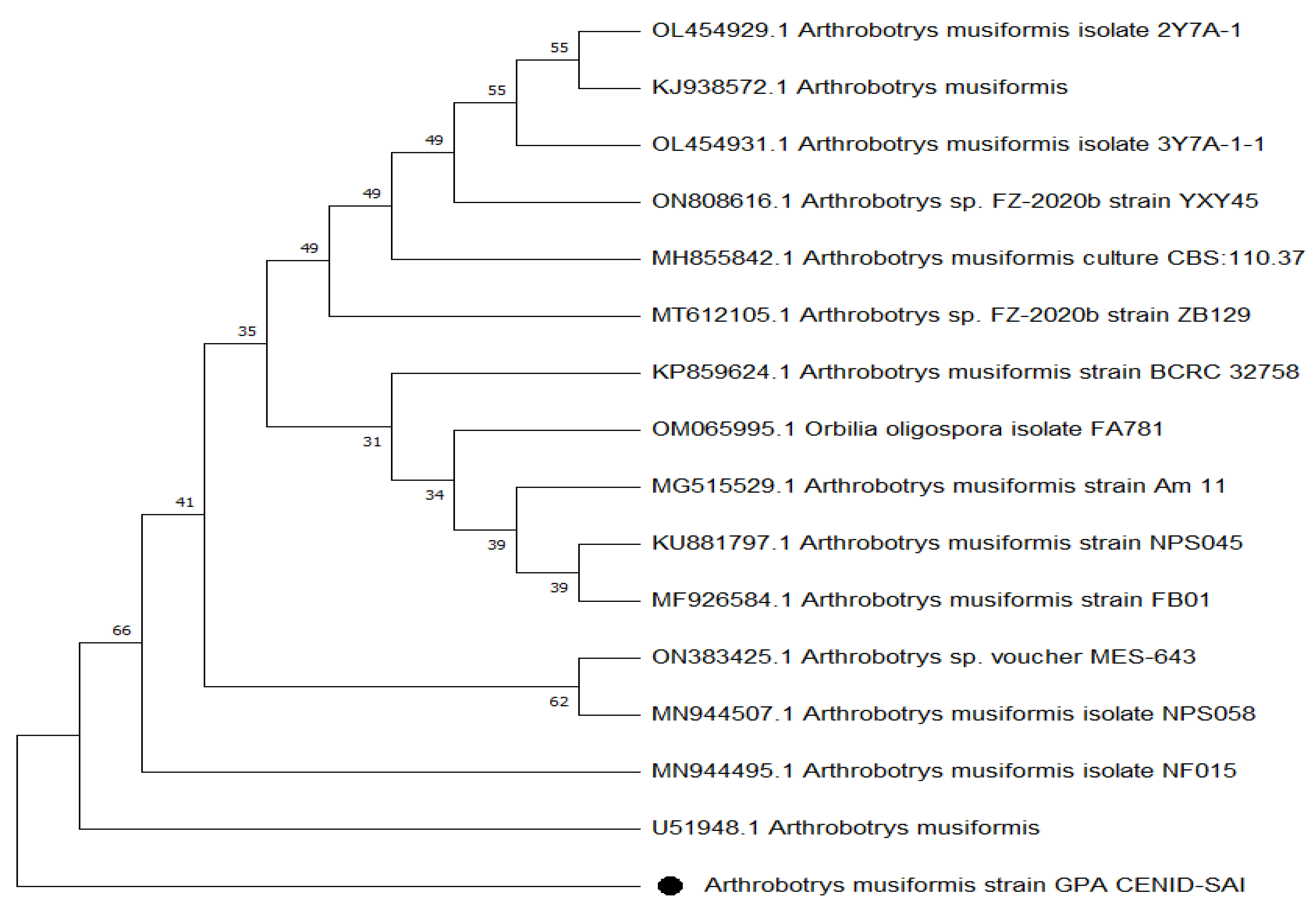 Pathogens 11 01068 g002