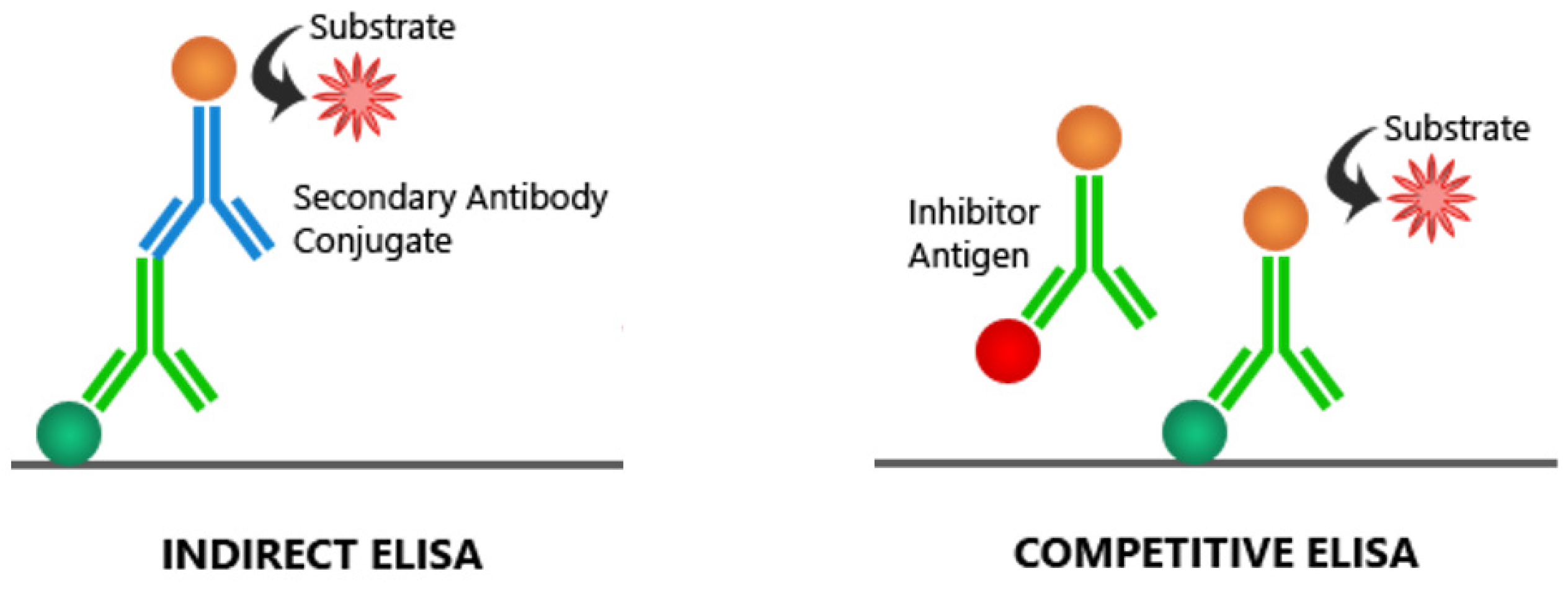 Pathogens 11 01074 g002