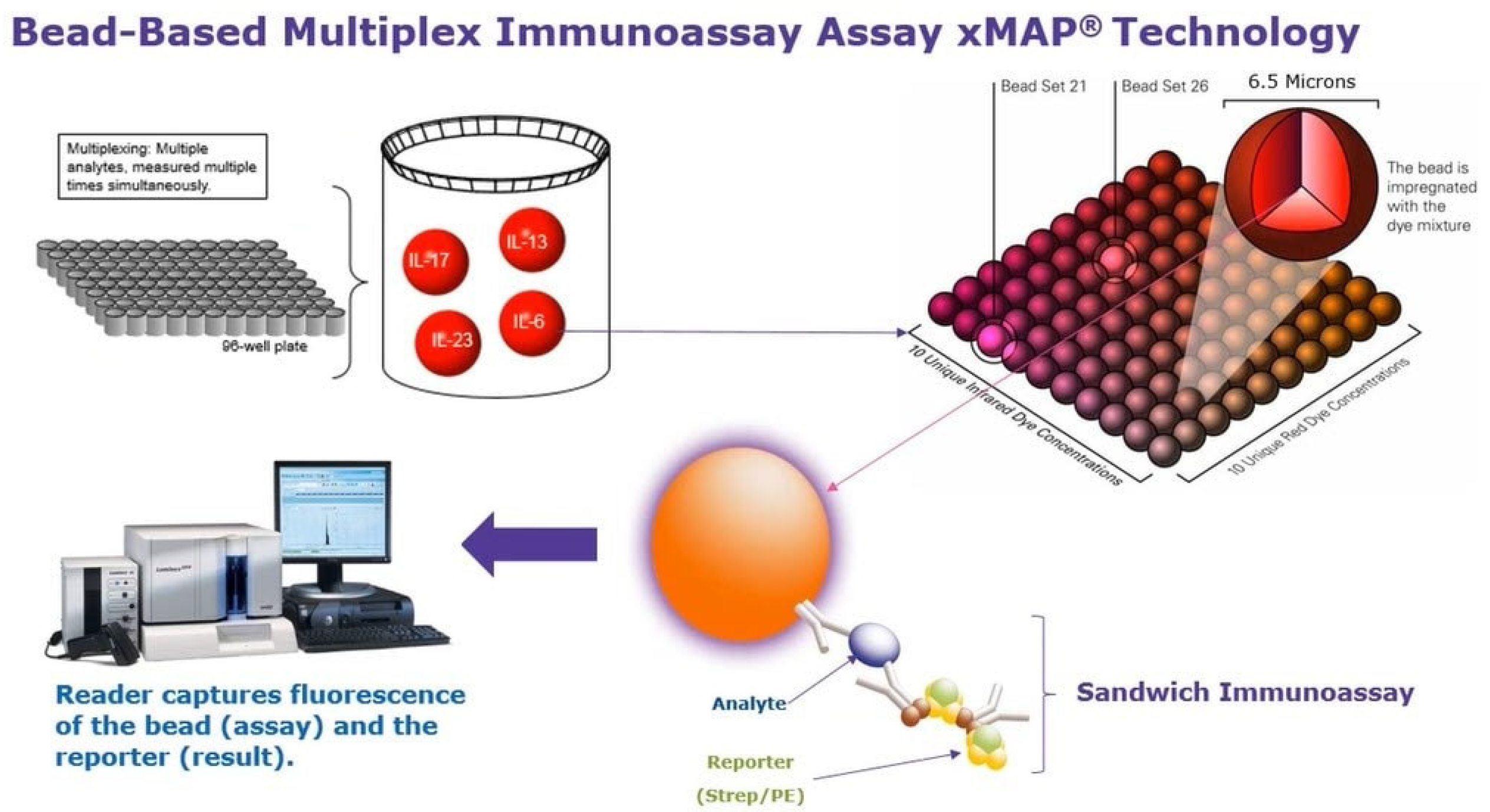 Pathogens 11 01074 g003